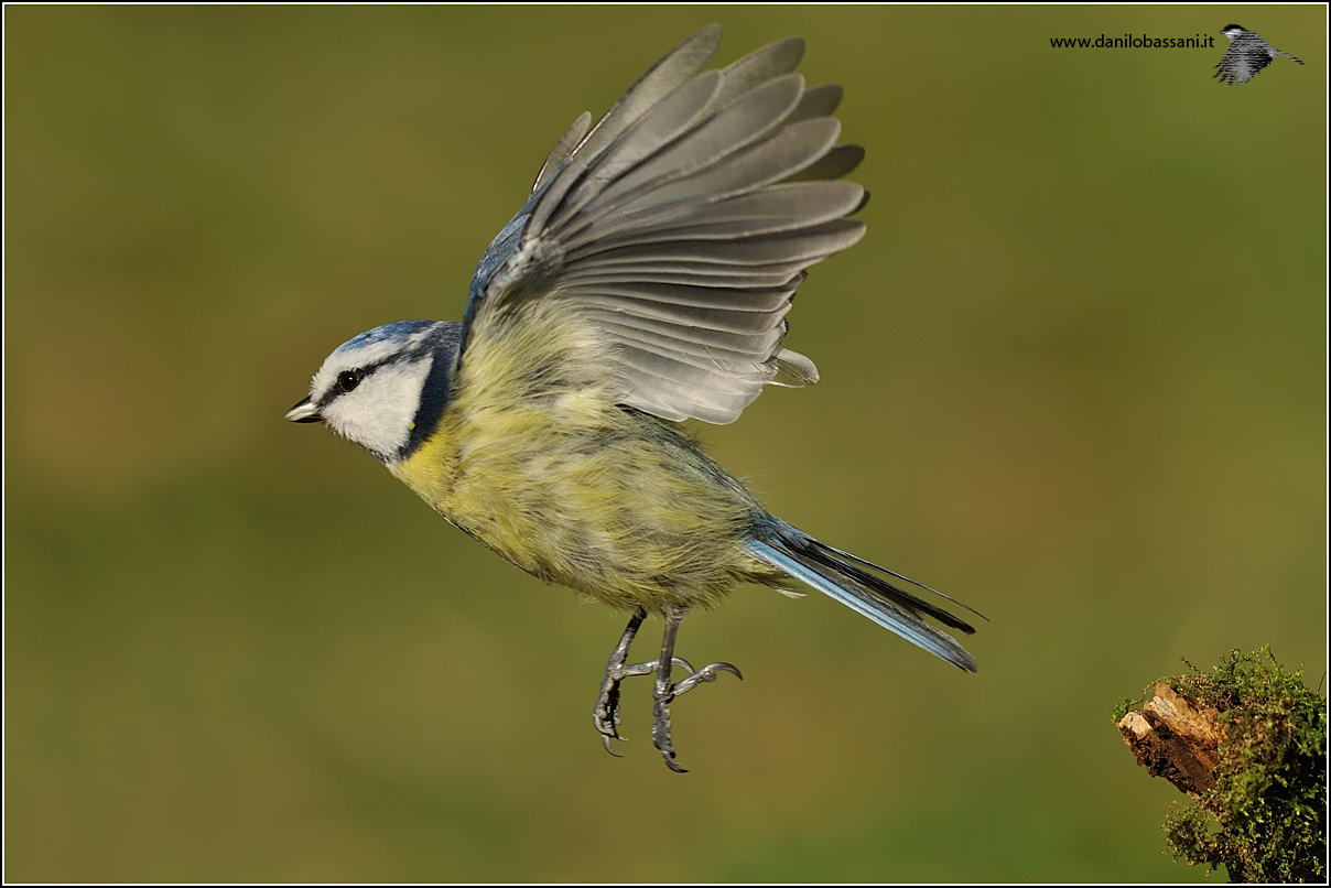 In Flight ... Around 2015 .... Greetings to All