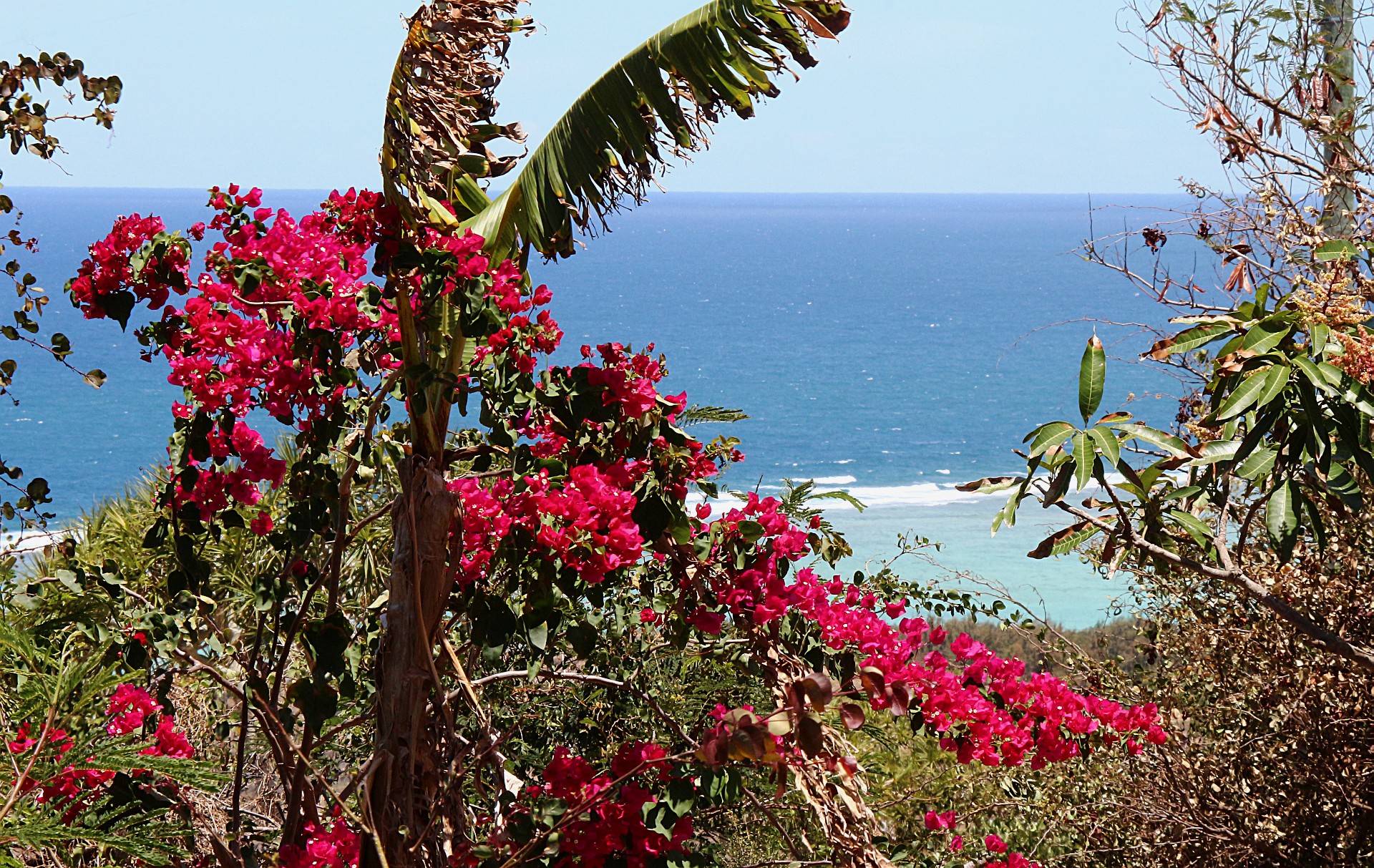 vista mare a Rodrigues
