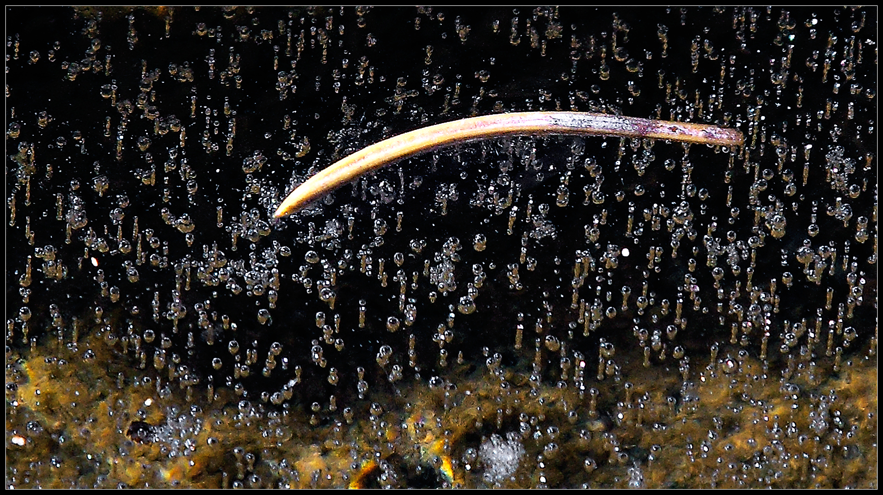 Ice trap, Velletri December 30, 2014