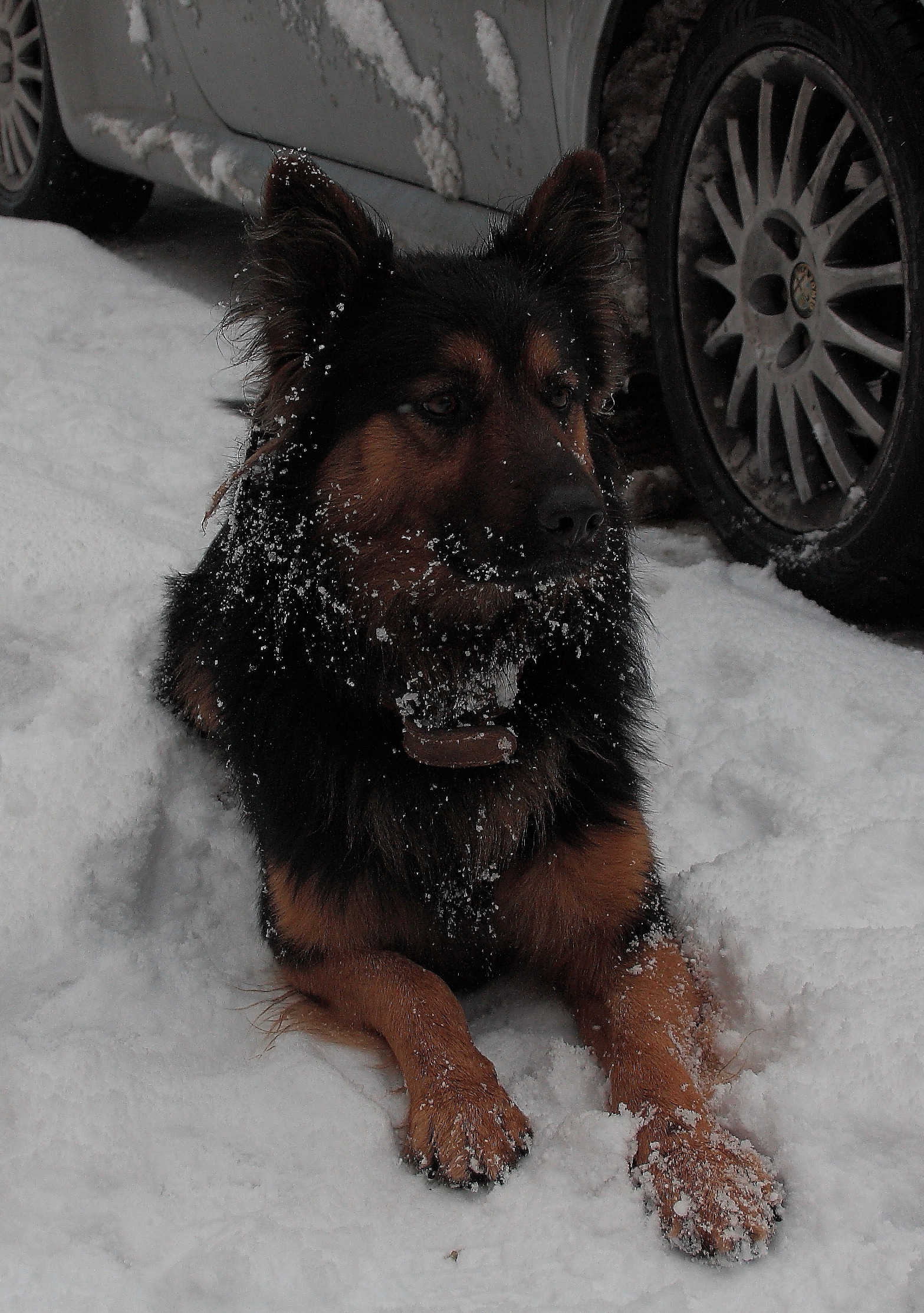 a little 'relaxation, but always at attention.