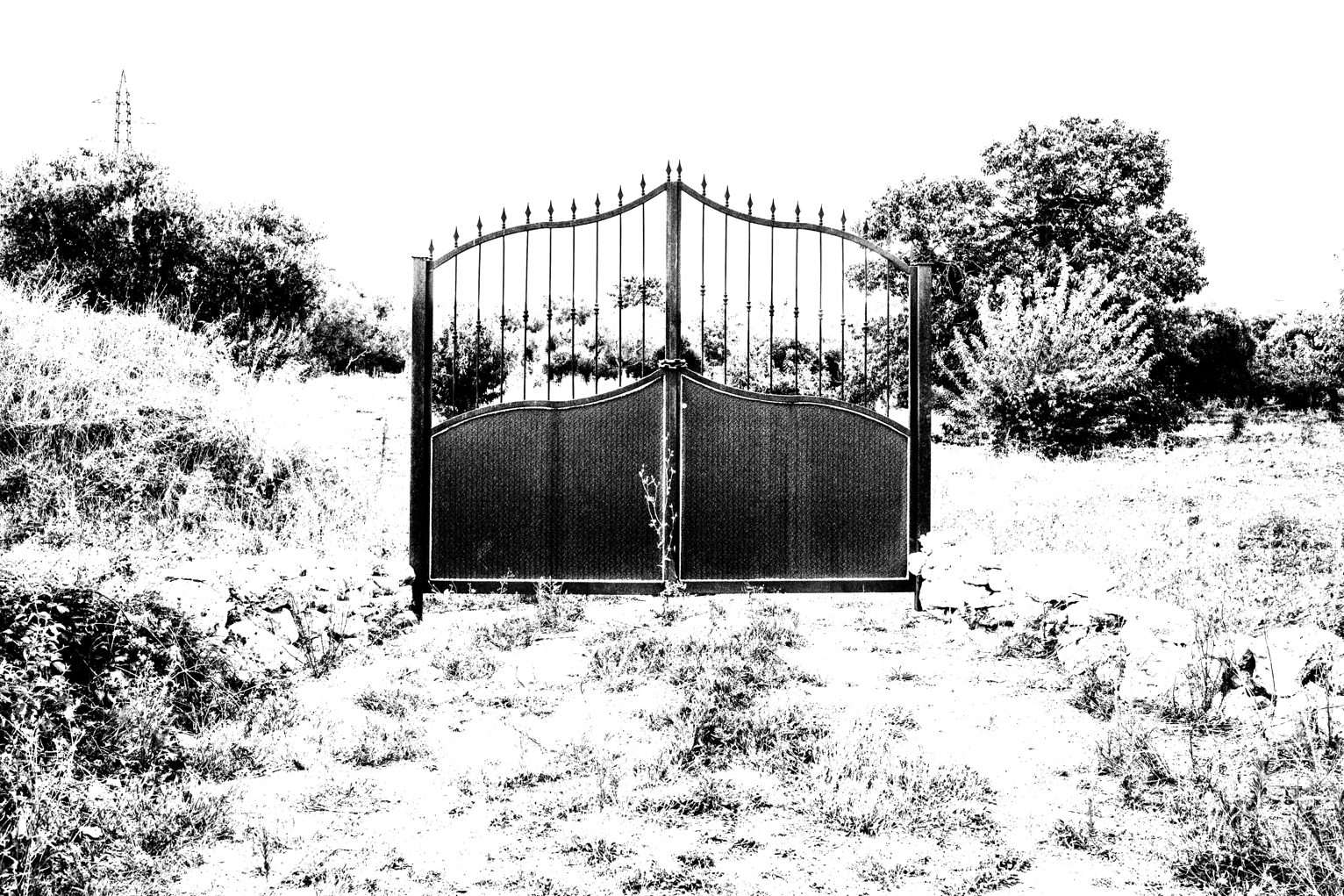 Campagna pugliese, 2014