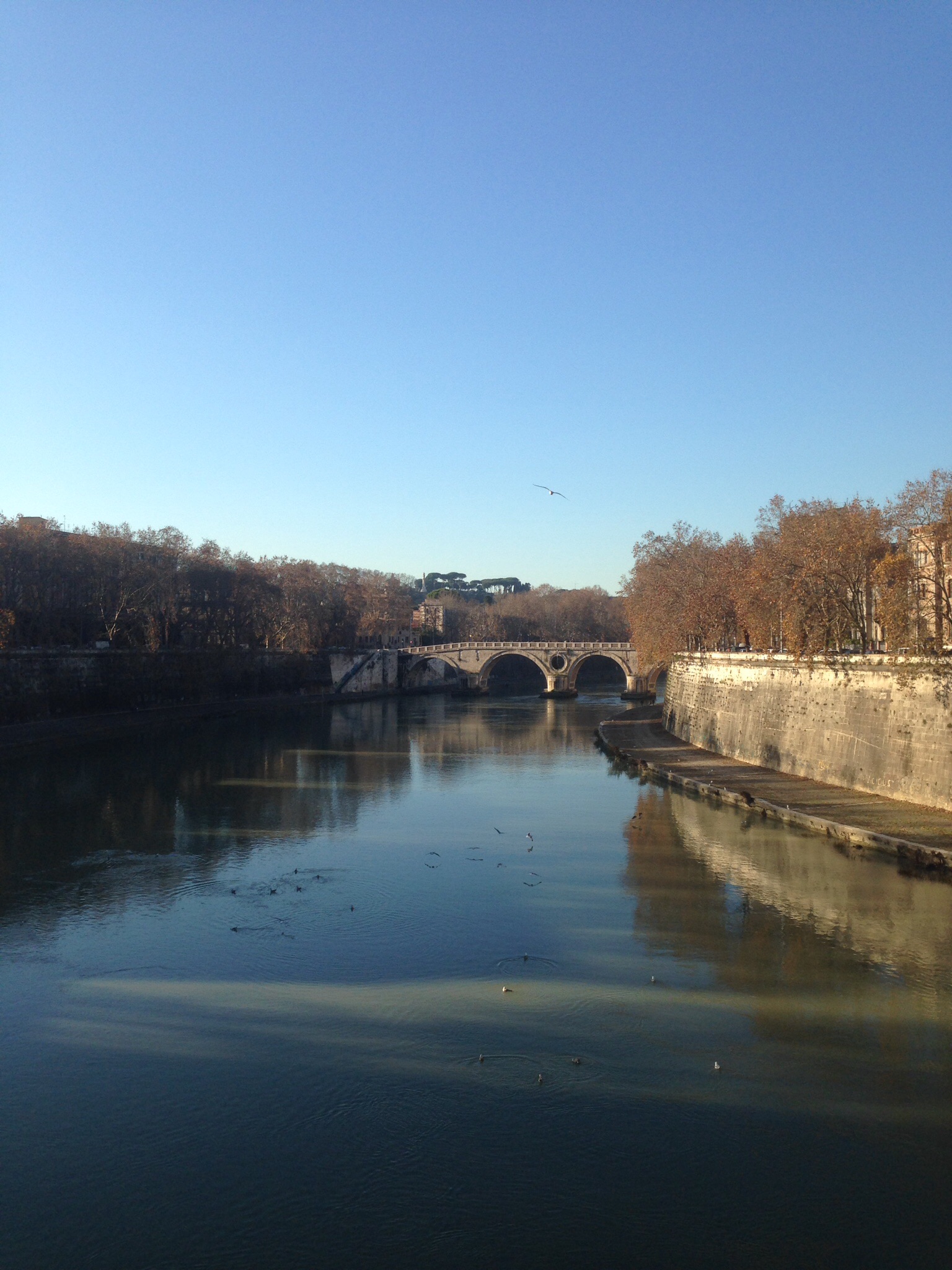 Lungo tevere