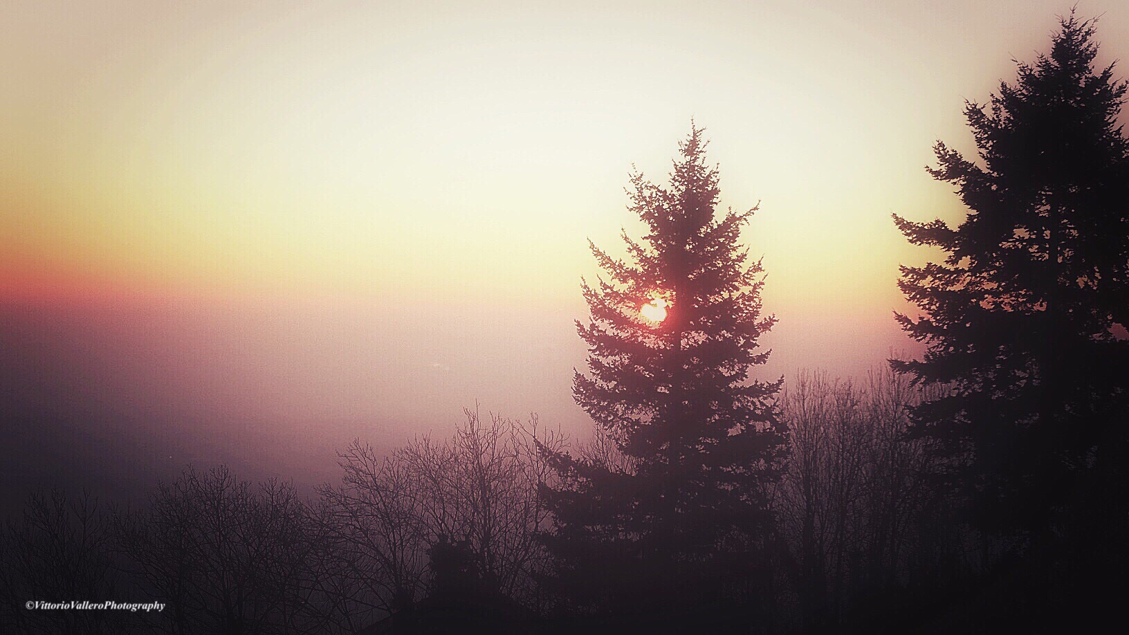 Sunrise and fog