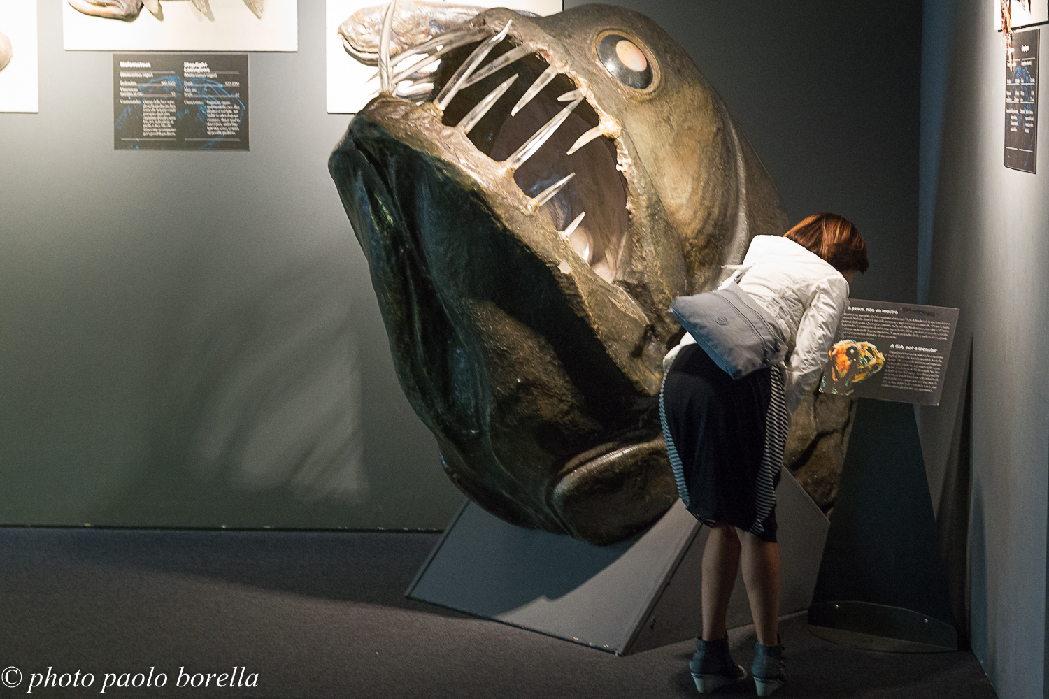 La Bella e la Bestia