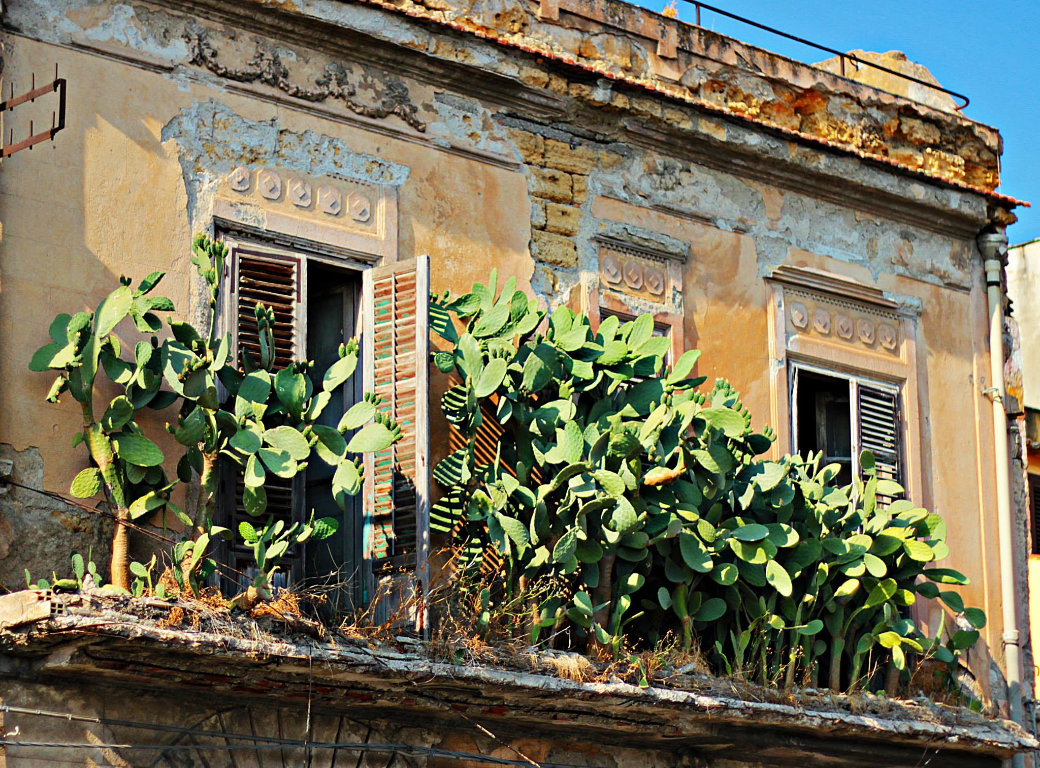 l'abbandono umano , l'avvento della natura