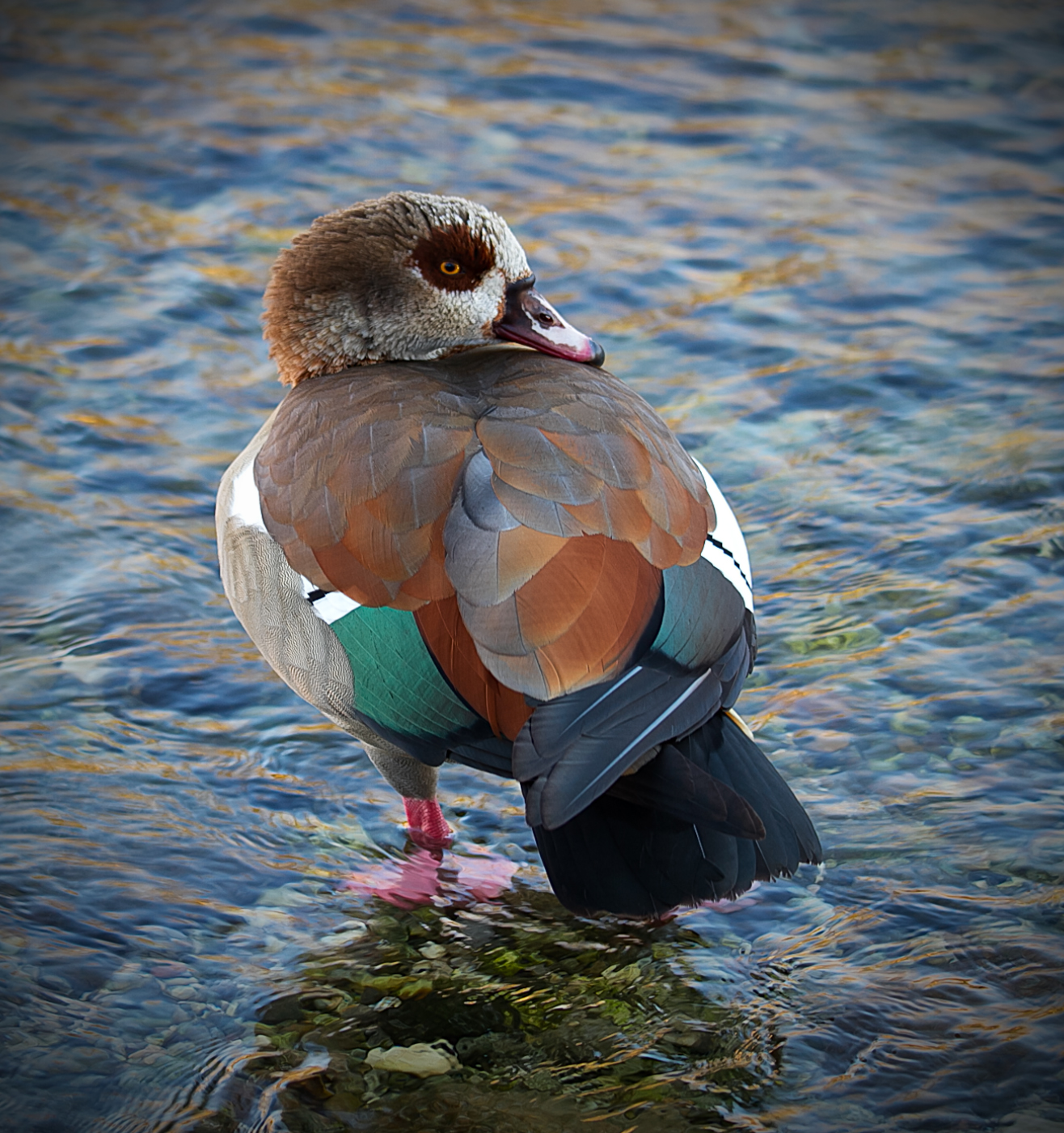 Un pò di pulizia......