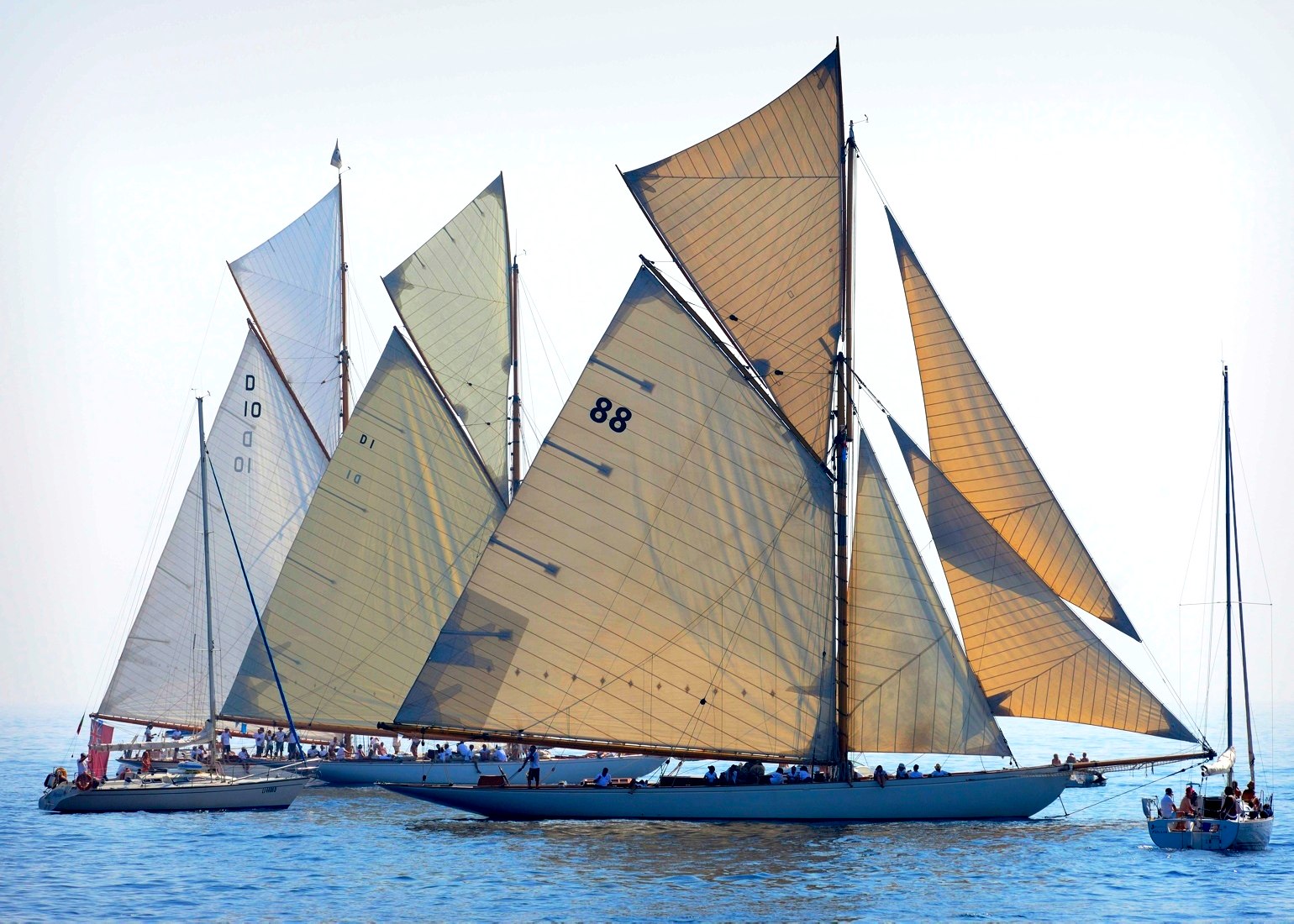 Imperia, Sails vintage