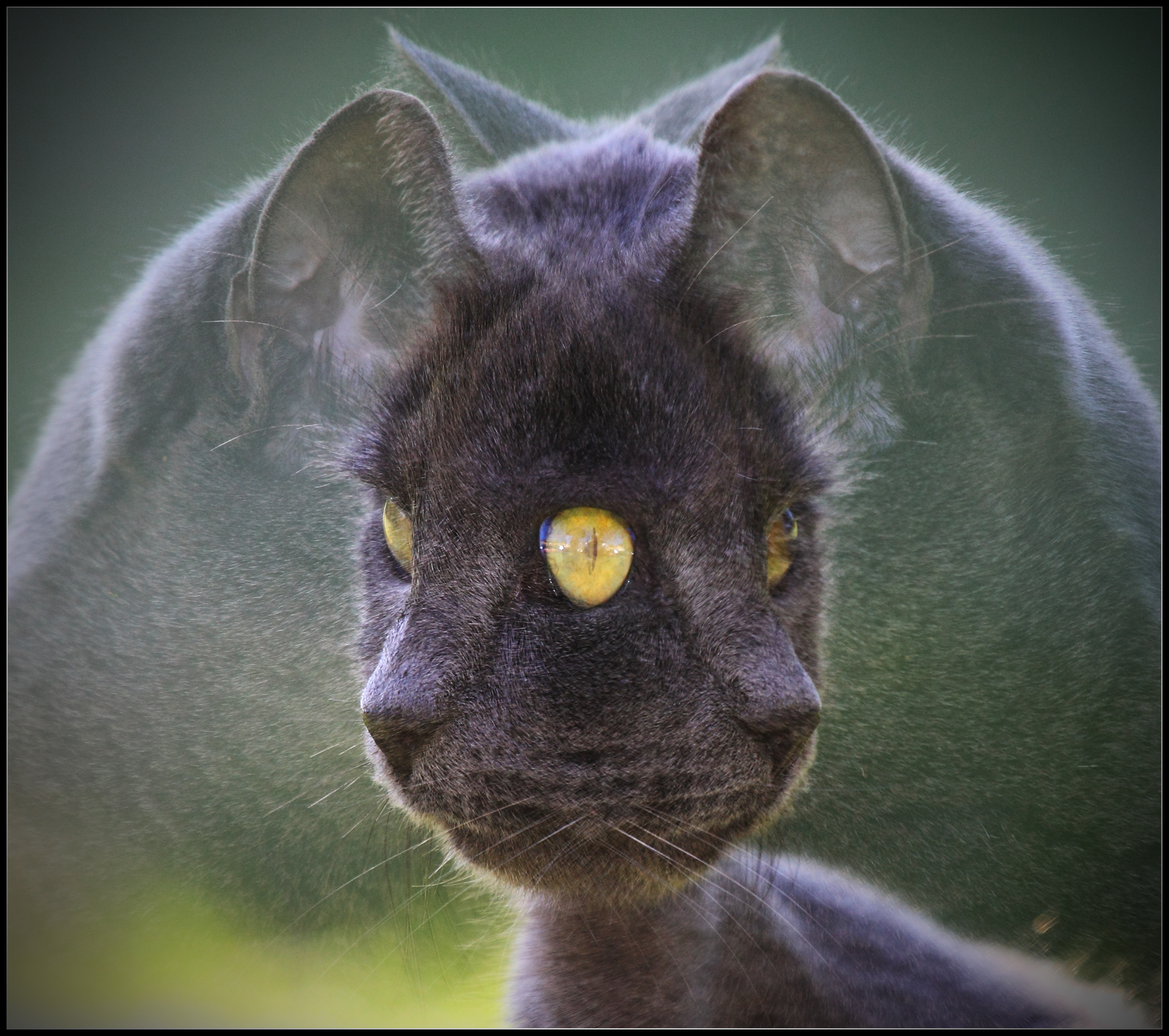 Right or Left, Velletri January 6, 2015