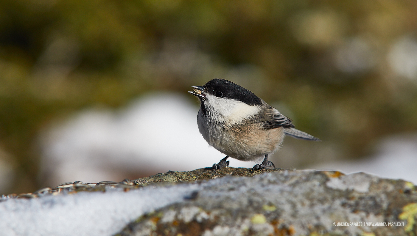 I eat and I do not care!