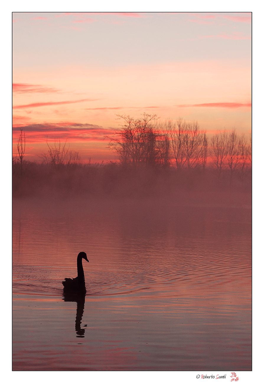 Alle prime luci del mattino