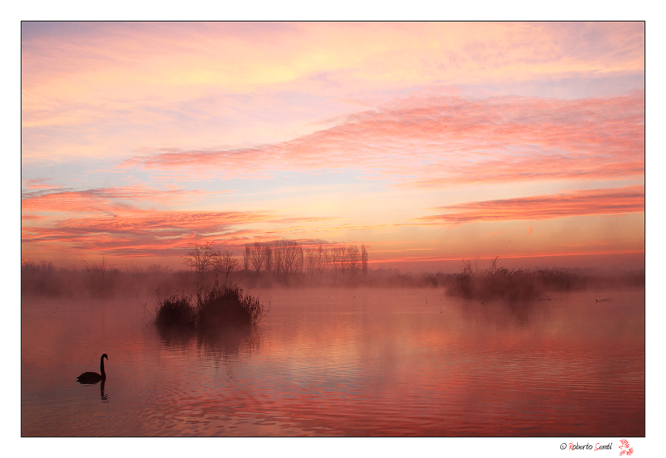 Alle prime luci del mattino