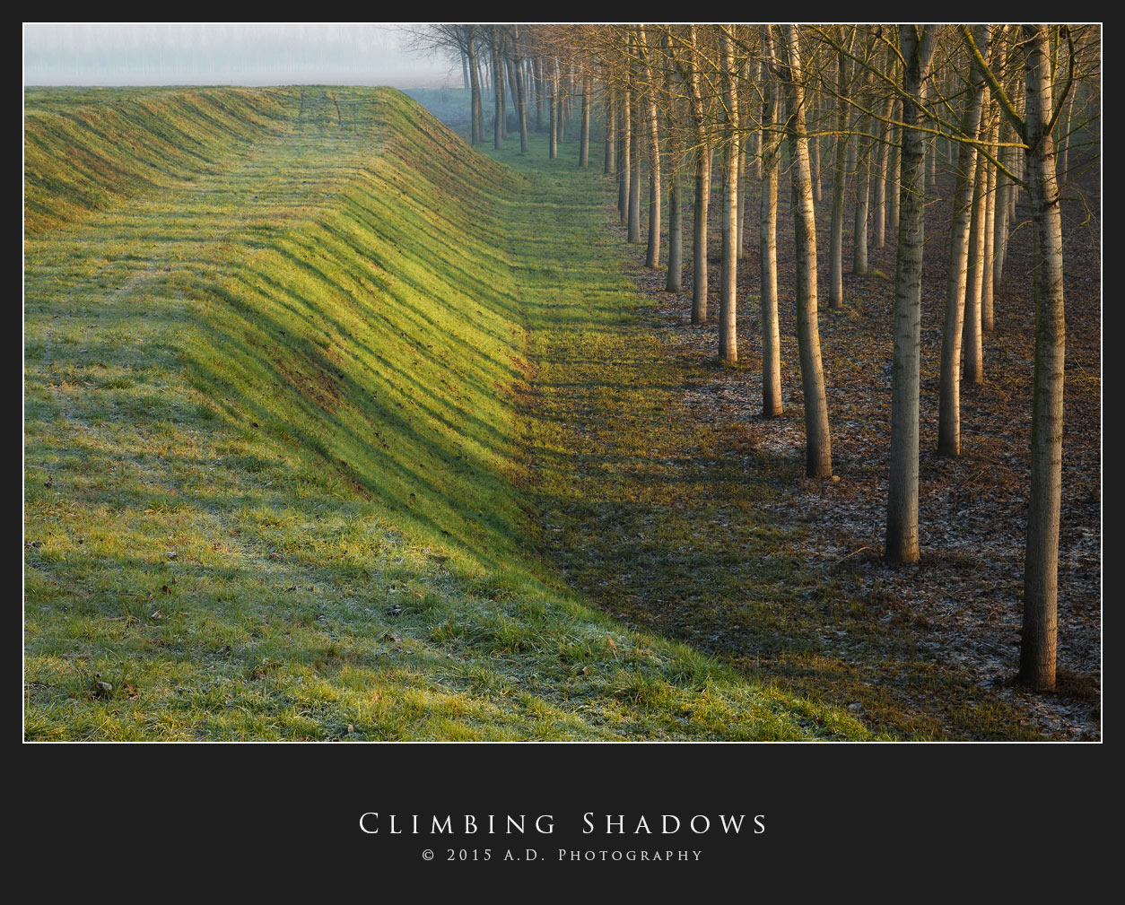 Climbing Shadows