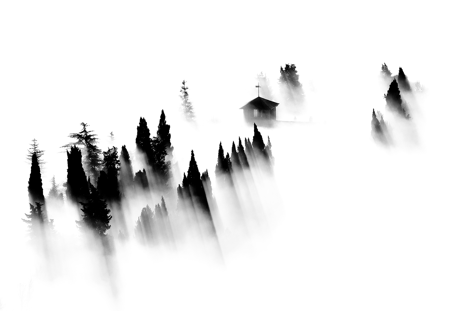 Fog # 5