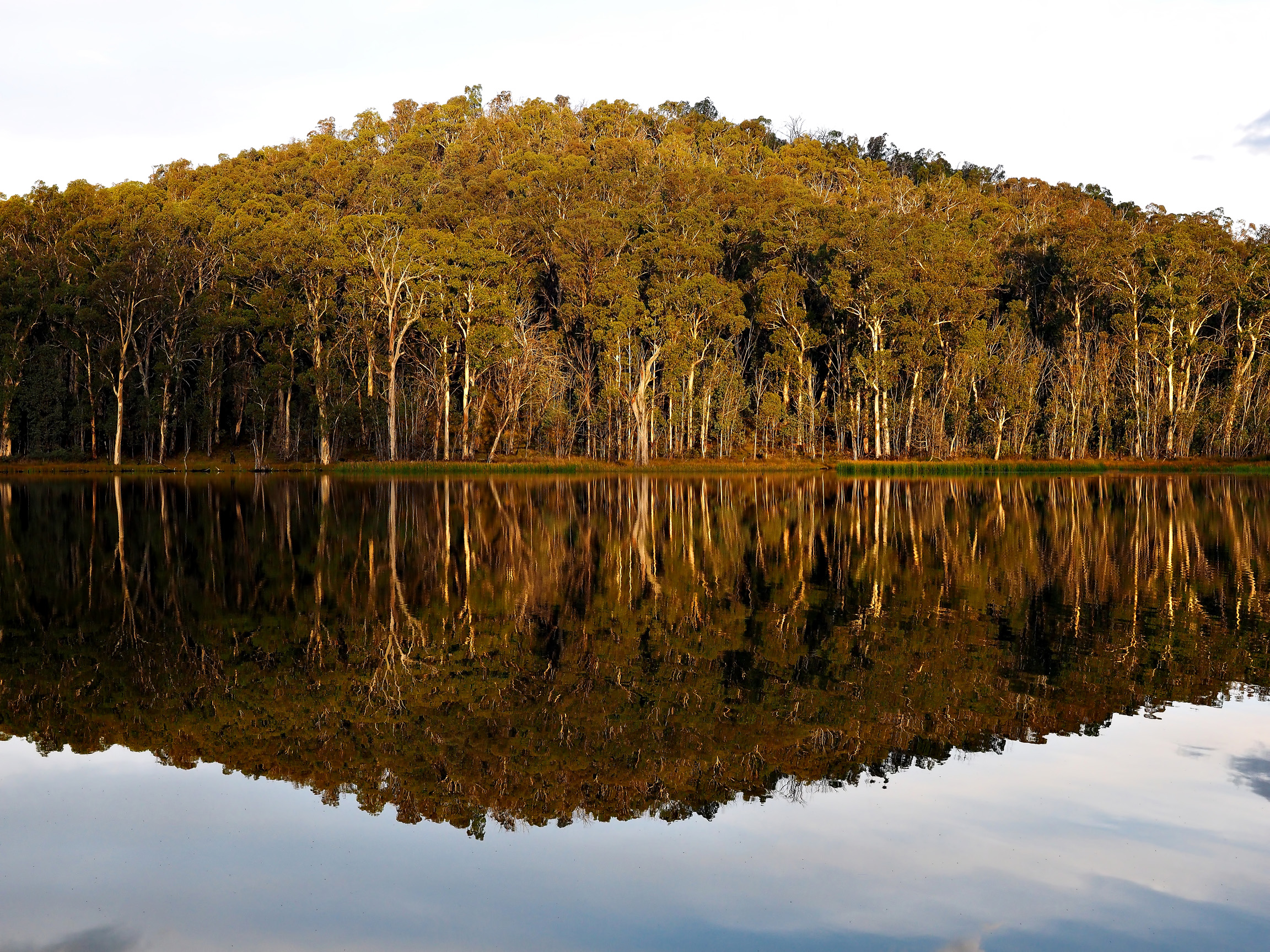 Lake Cobbler, Victorian High Country, Australia