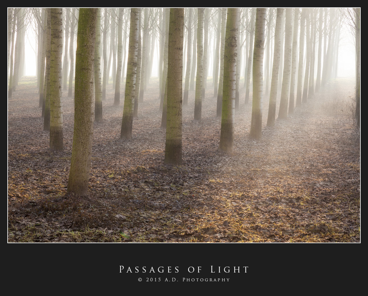 Passages to Light
