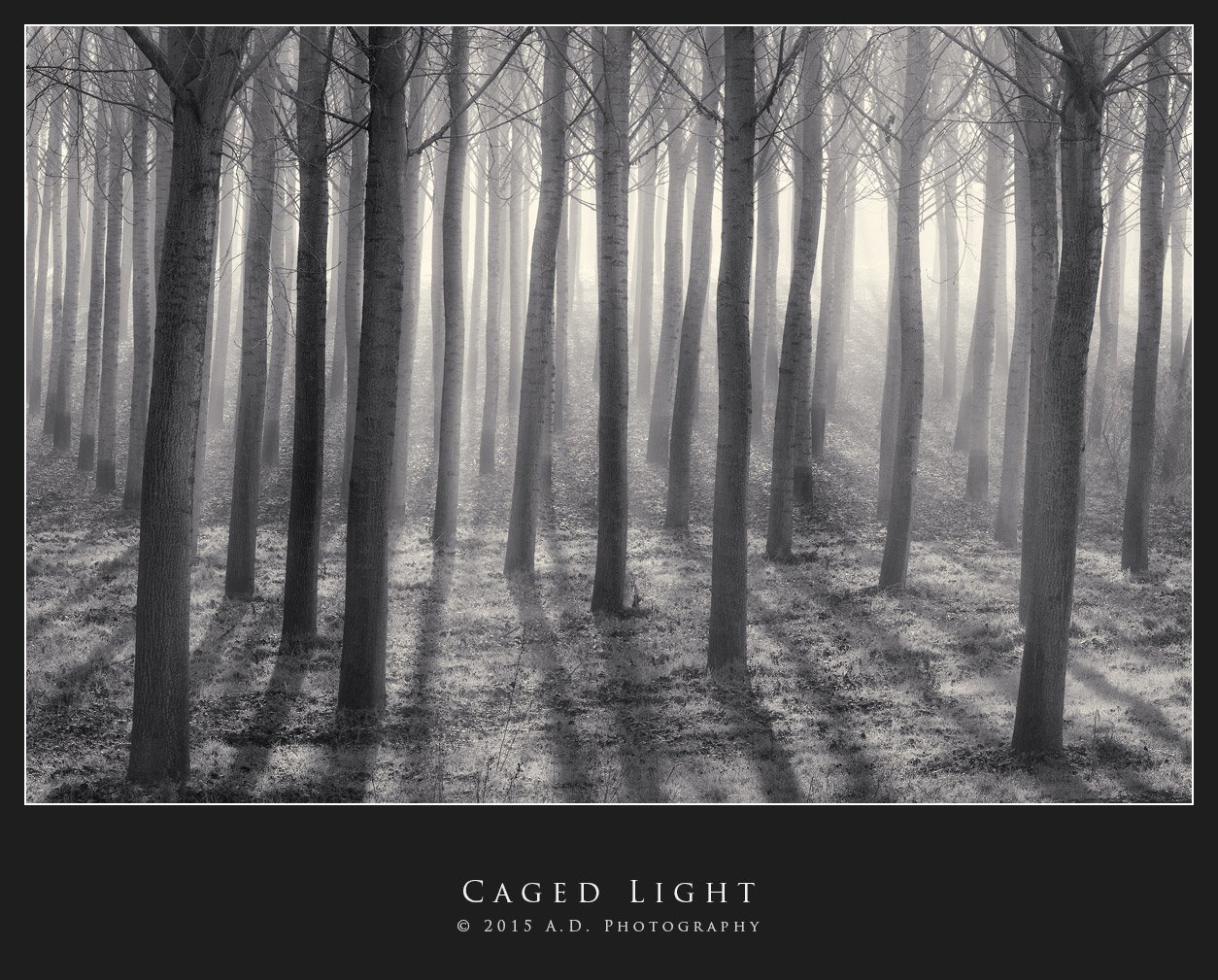 Caged Light