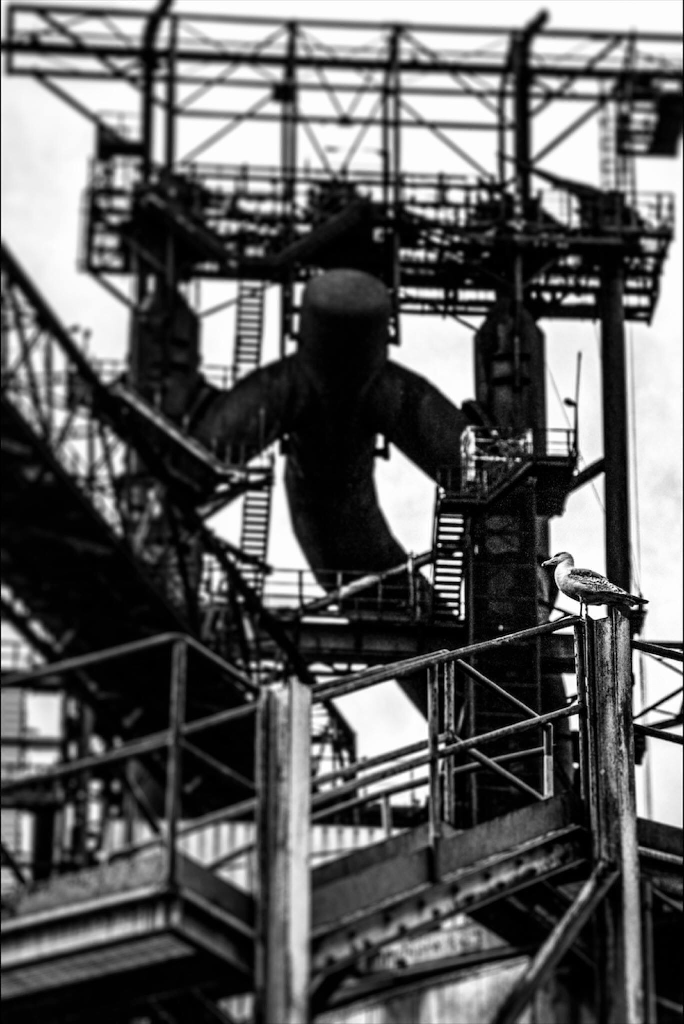 afo4 Lucchini Piombino