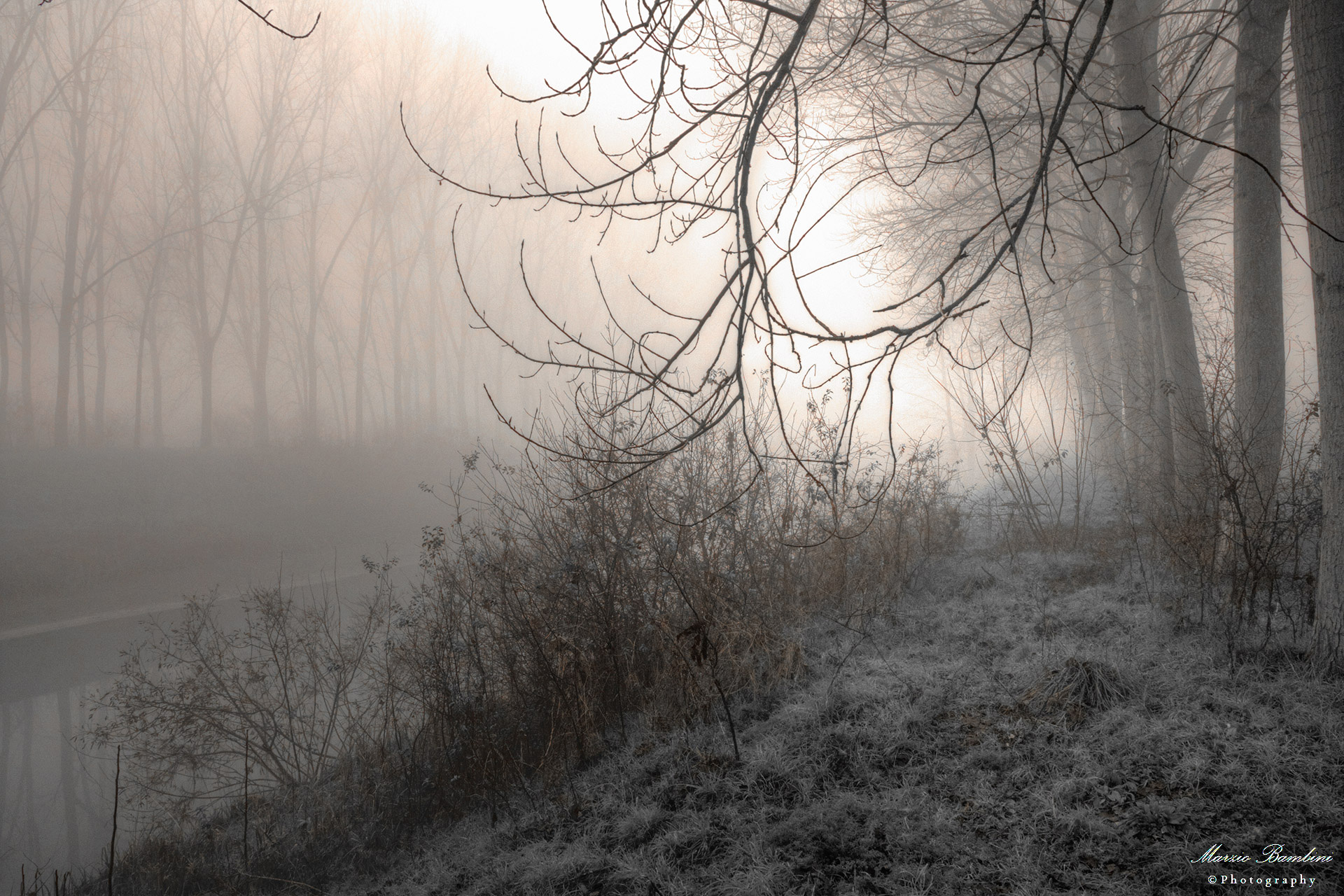 Schivenoglia (mn), beyond the frost hope