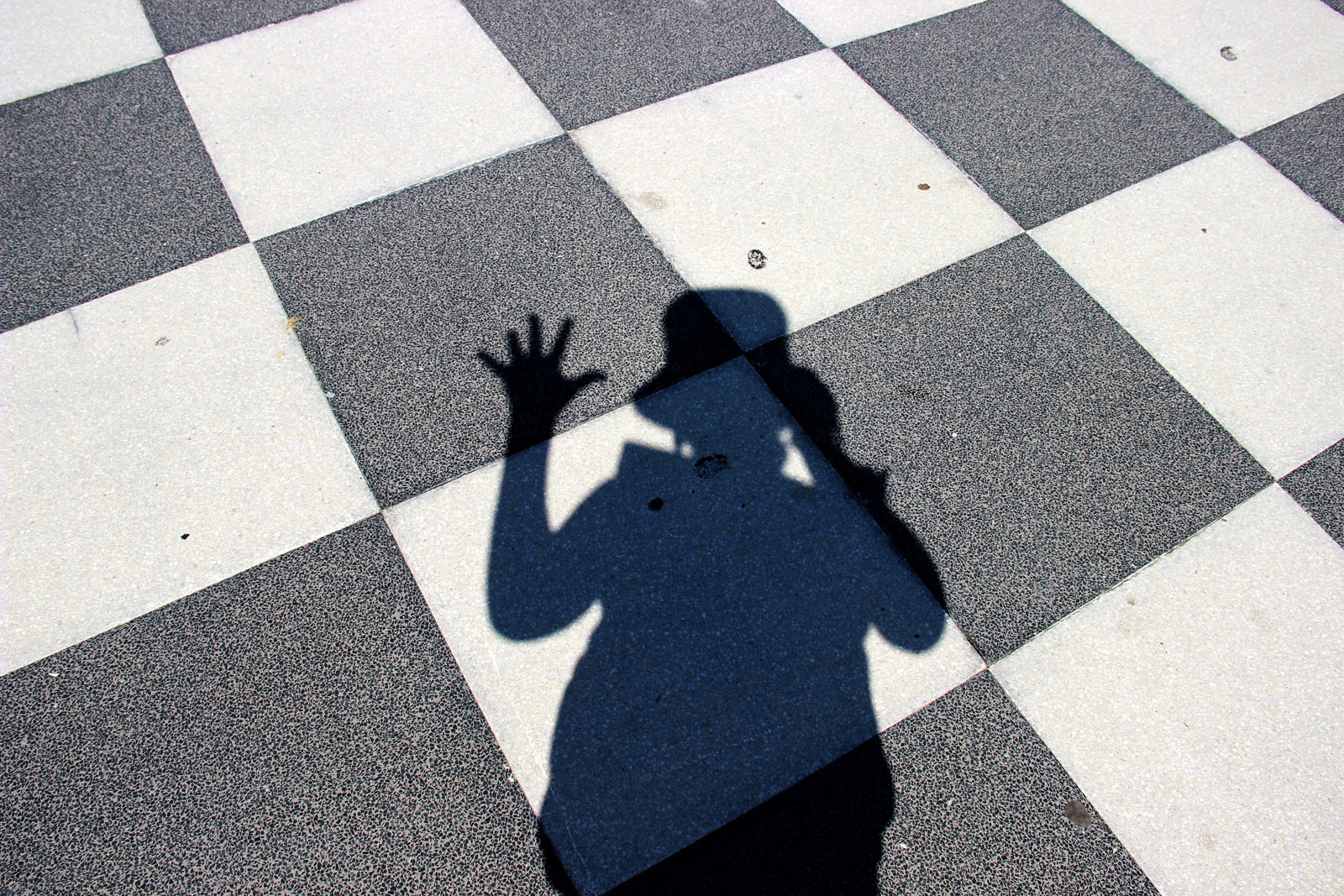 Hello from future photographer!