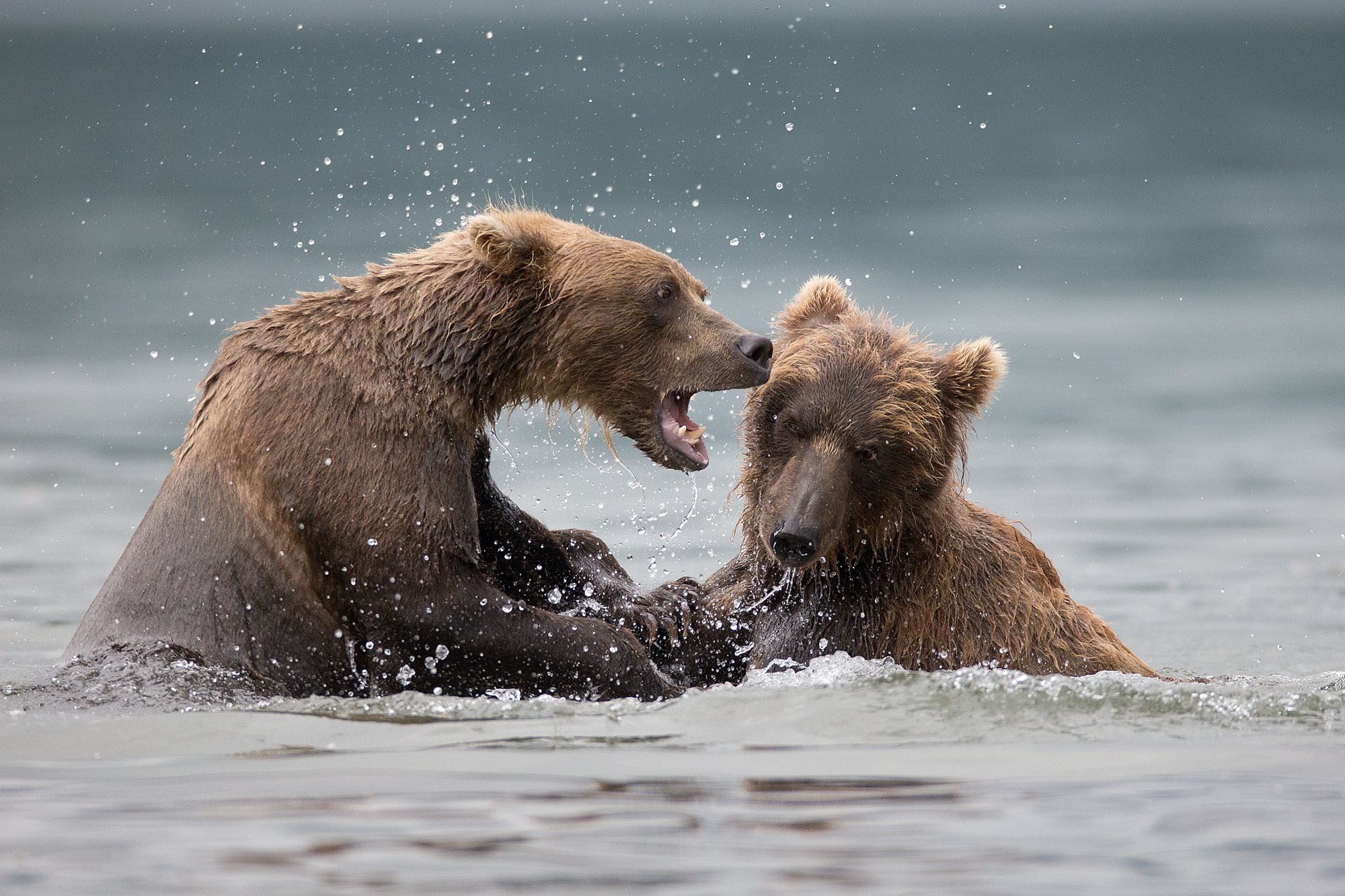 Ma allora sei sordo ???!!!