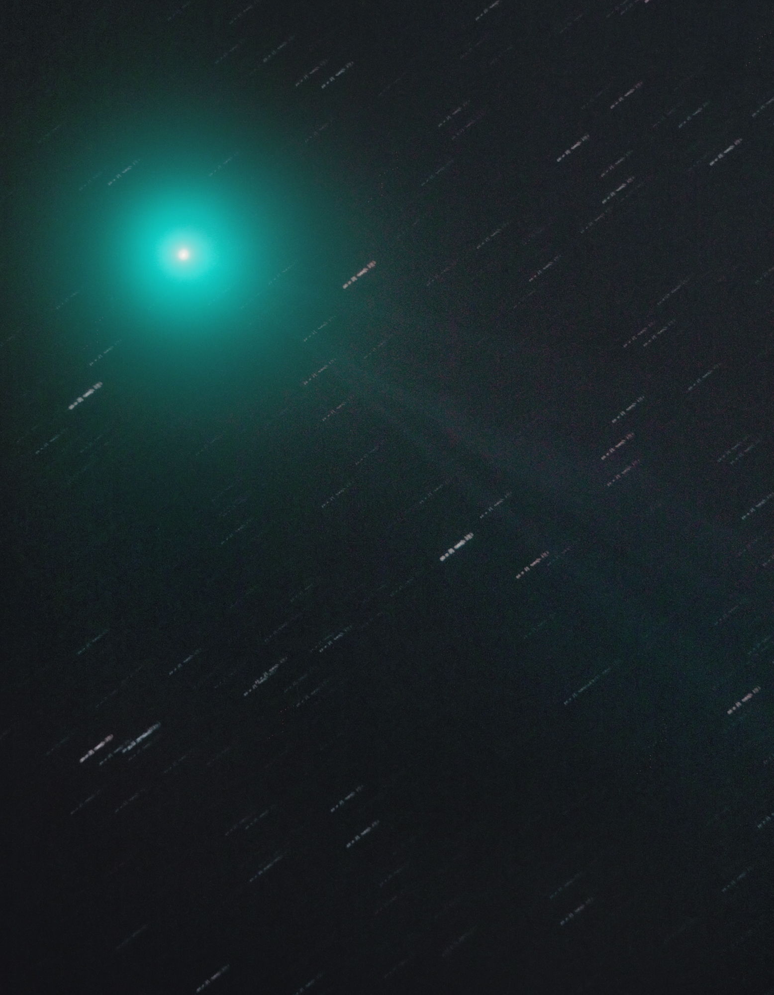 Cometa c/2014 Q2 ripresa il 10 gennaio
