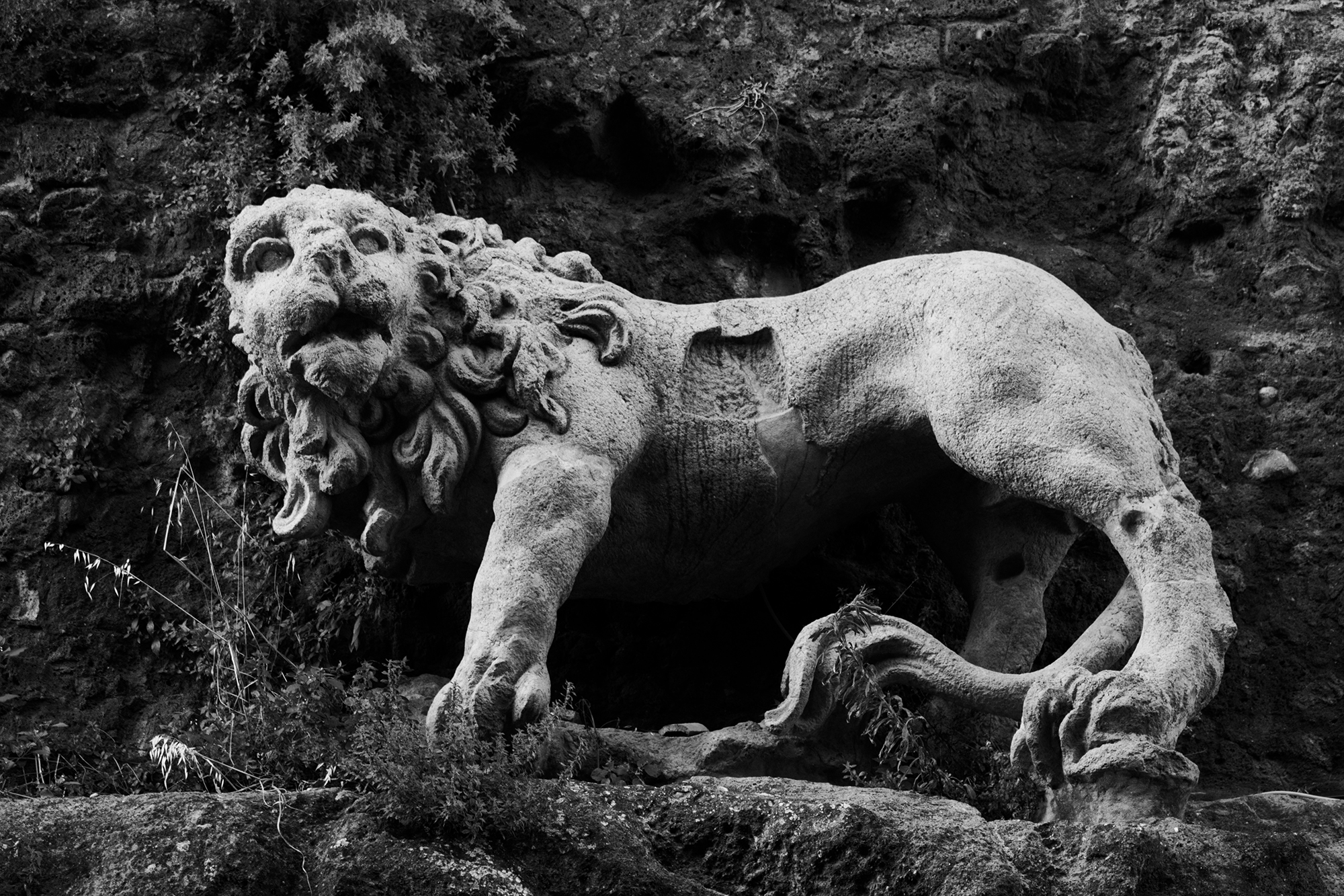 l'antico custode di un luogo perduto