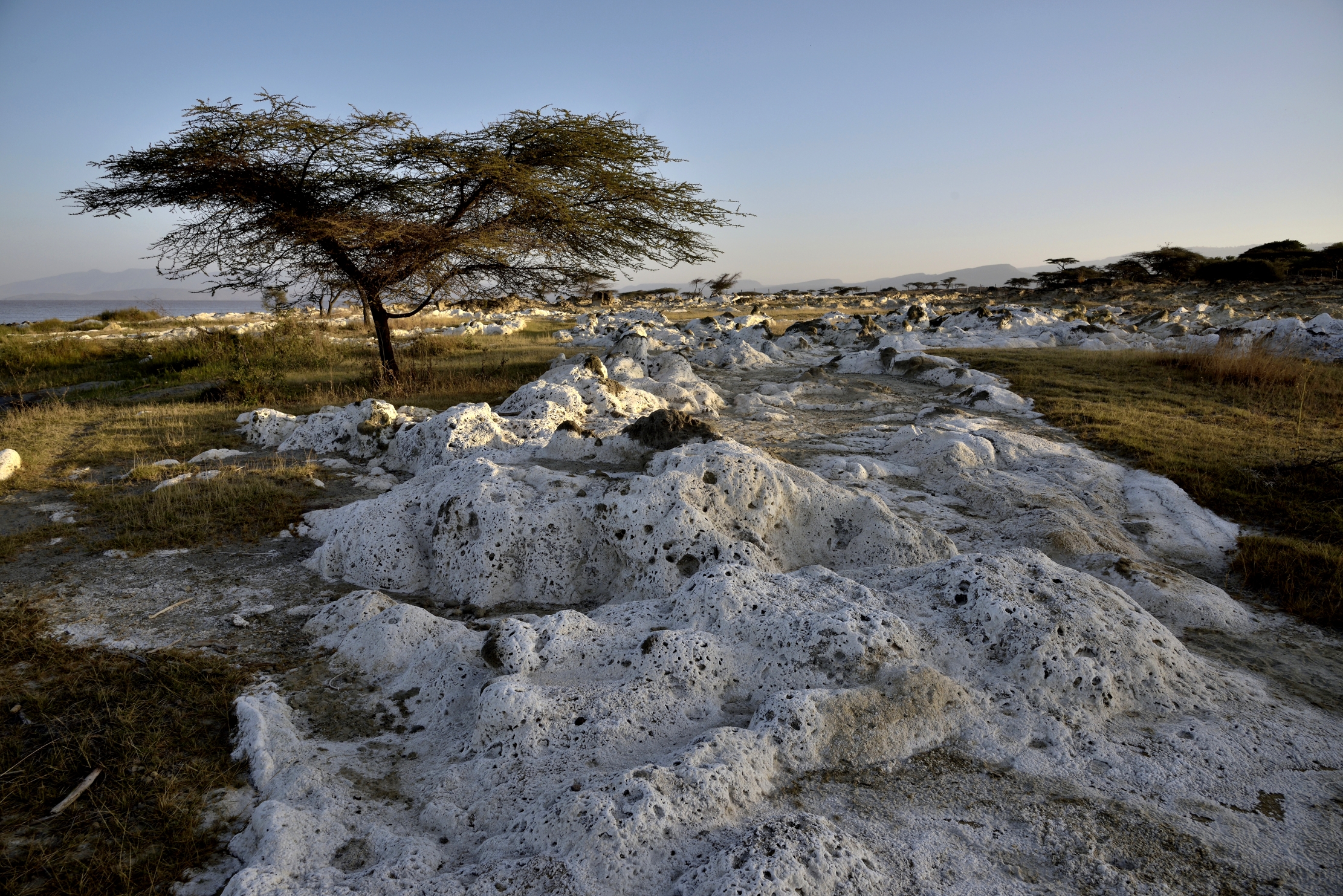 Etiopia 2015 - Sul lago Langano