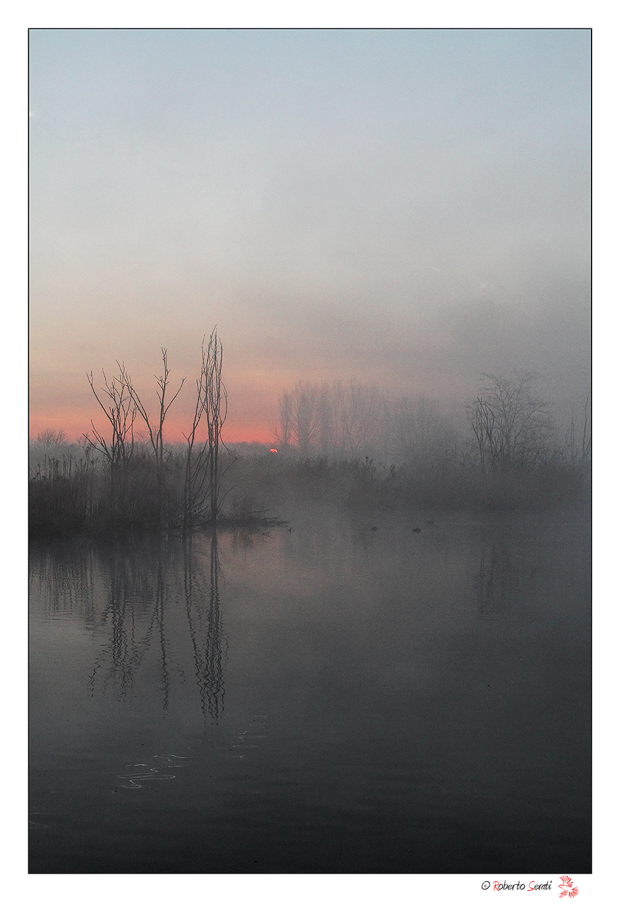 Alba sullo stagno
