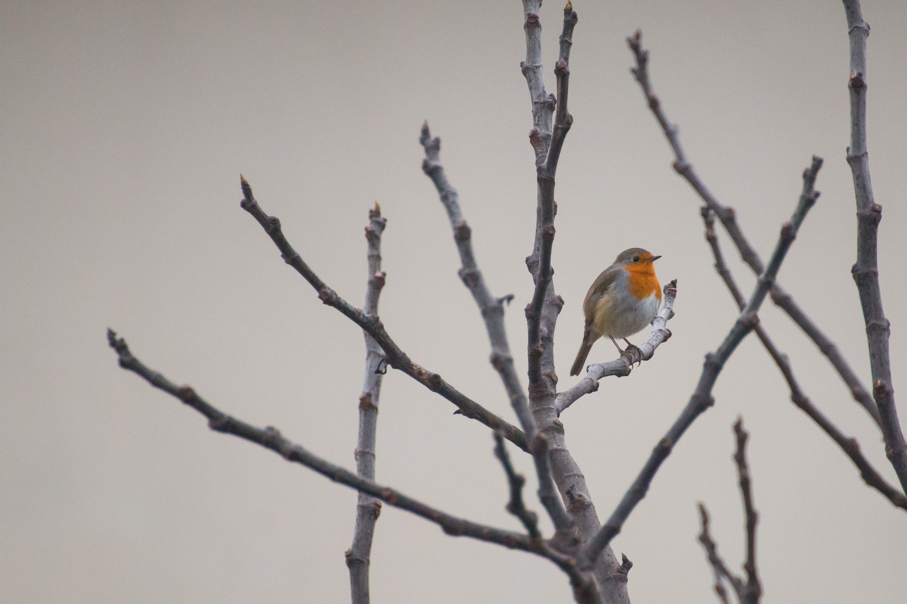 Mi fermo solo un momento...