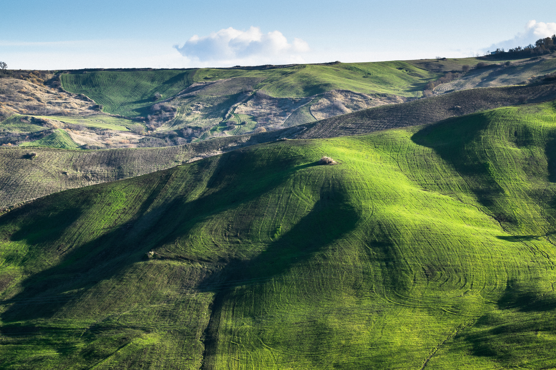 Campi vicino Roccascalegna