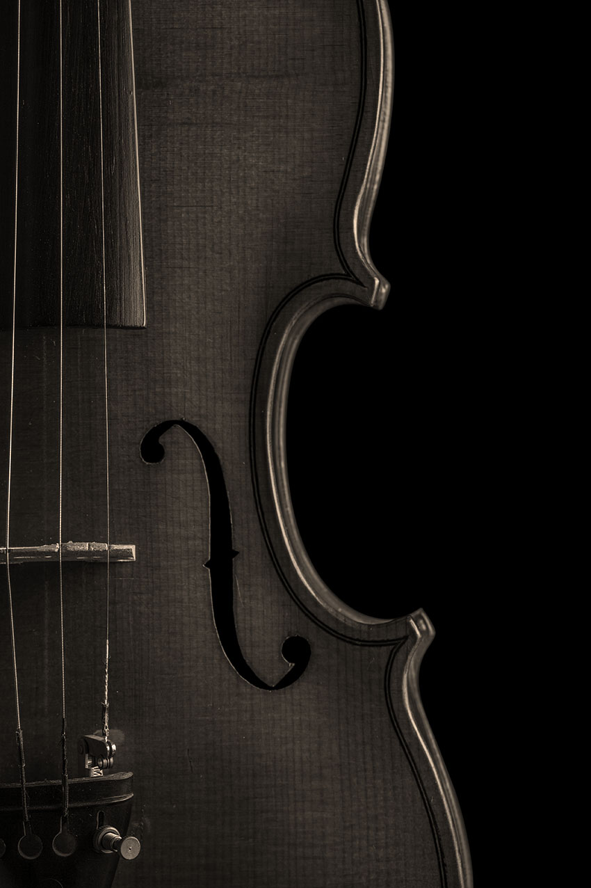 Violino