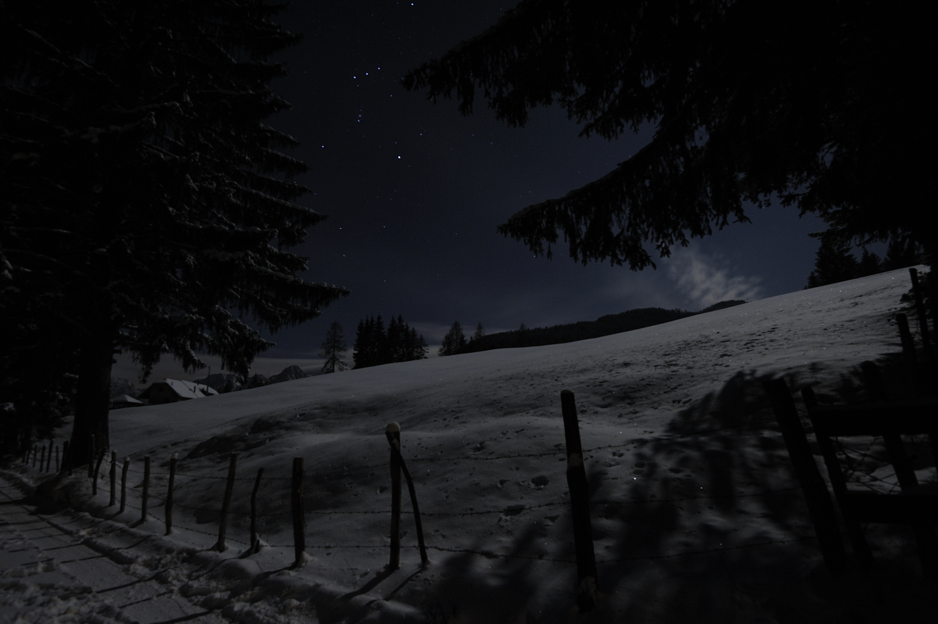 Radura sotto le stelle.