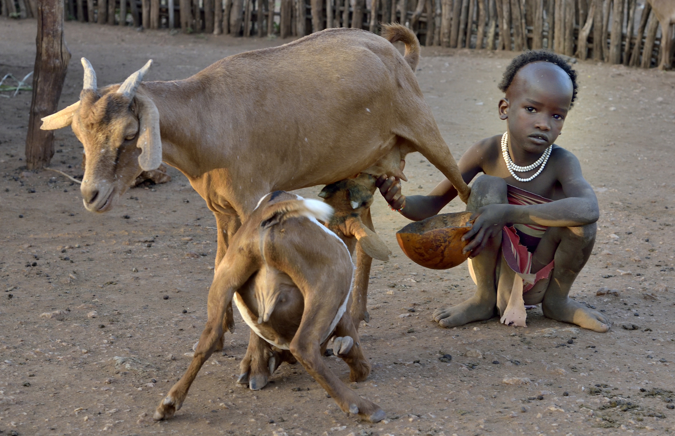 Etiopia 2015 - Bambino Hamer