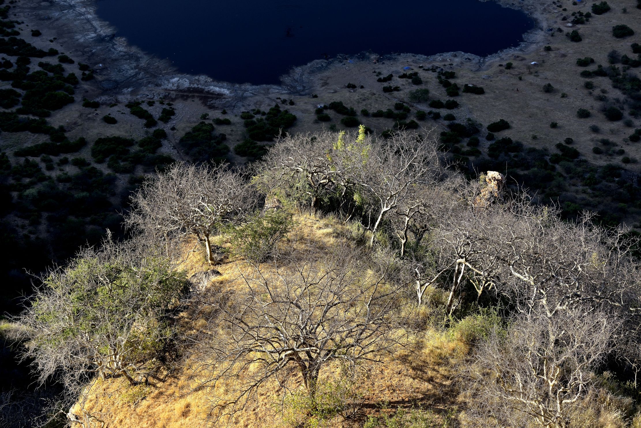 Etiopia 2015 - Alberi sul lago di El Sod
