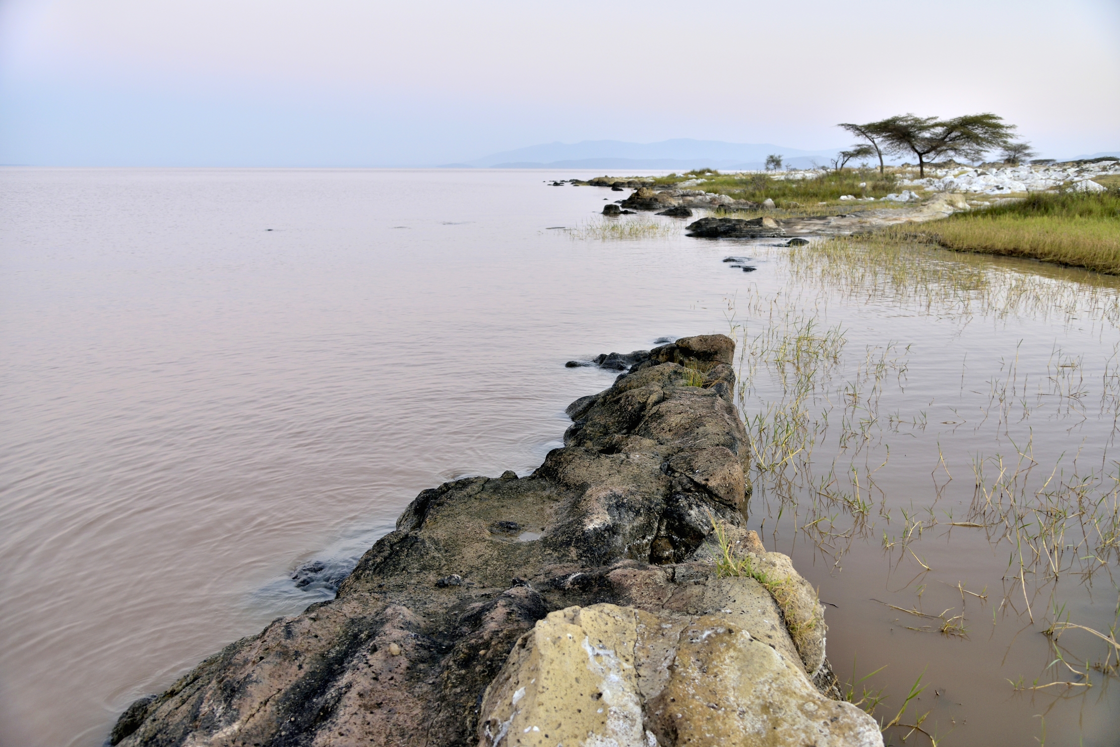 Etiopia 2015 - Lago Langano