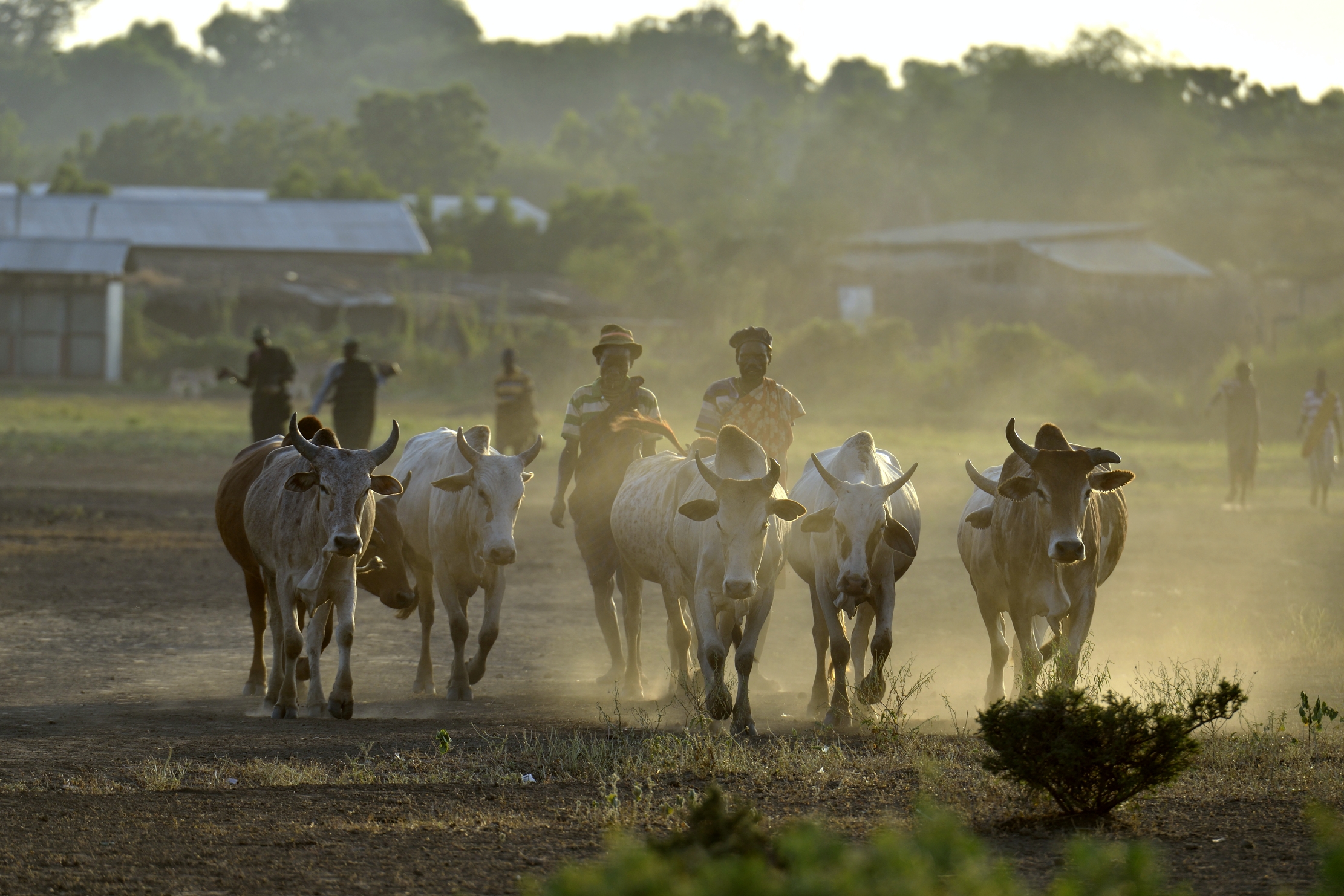Etiopia 2015 - In un villaggio sperduto della valle