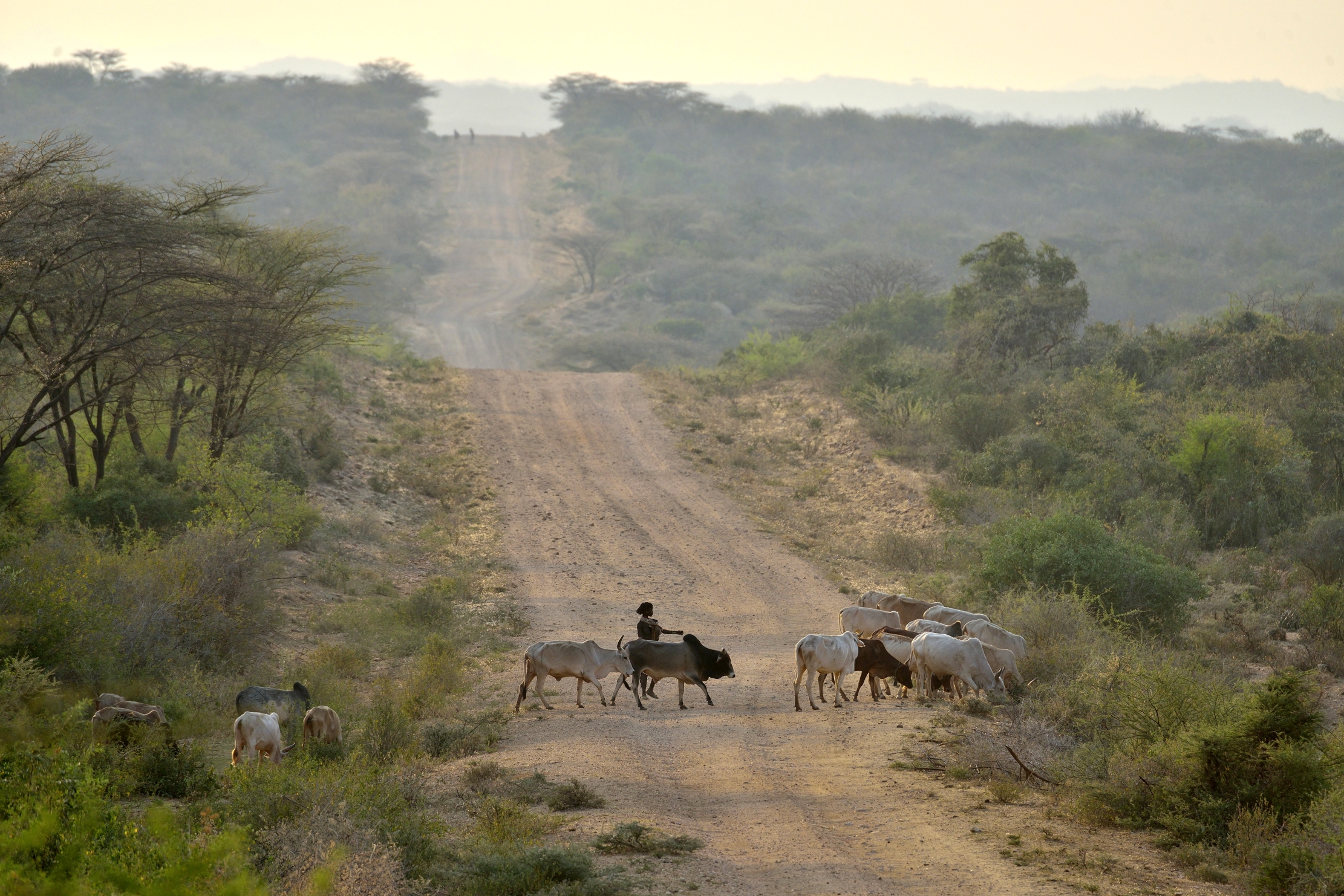 Etiopia 2015 Valle dell'Omo (territorio Hamer) all'a...