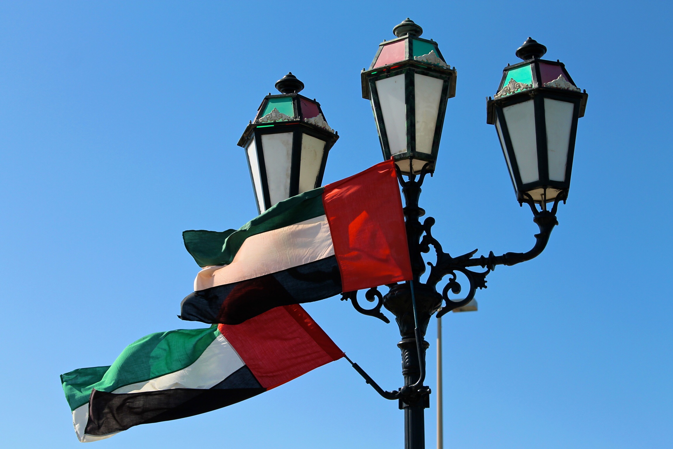 La bandiera degli Emirati Arabi Uniti