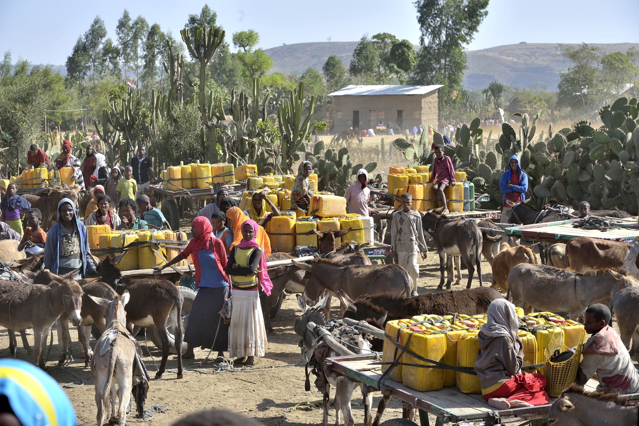 Etiopia 2015 - Oromia, tutti a prendere L'acqua