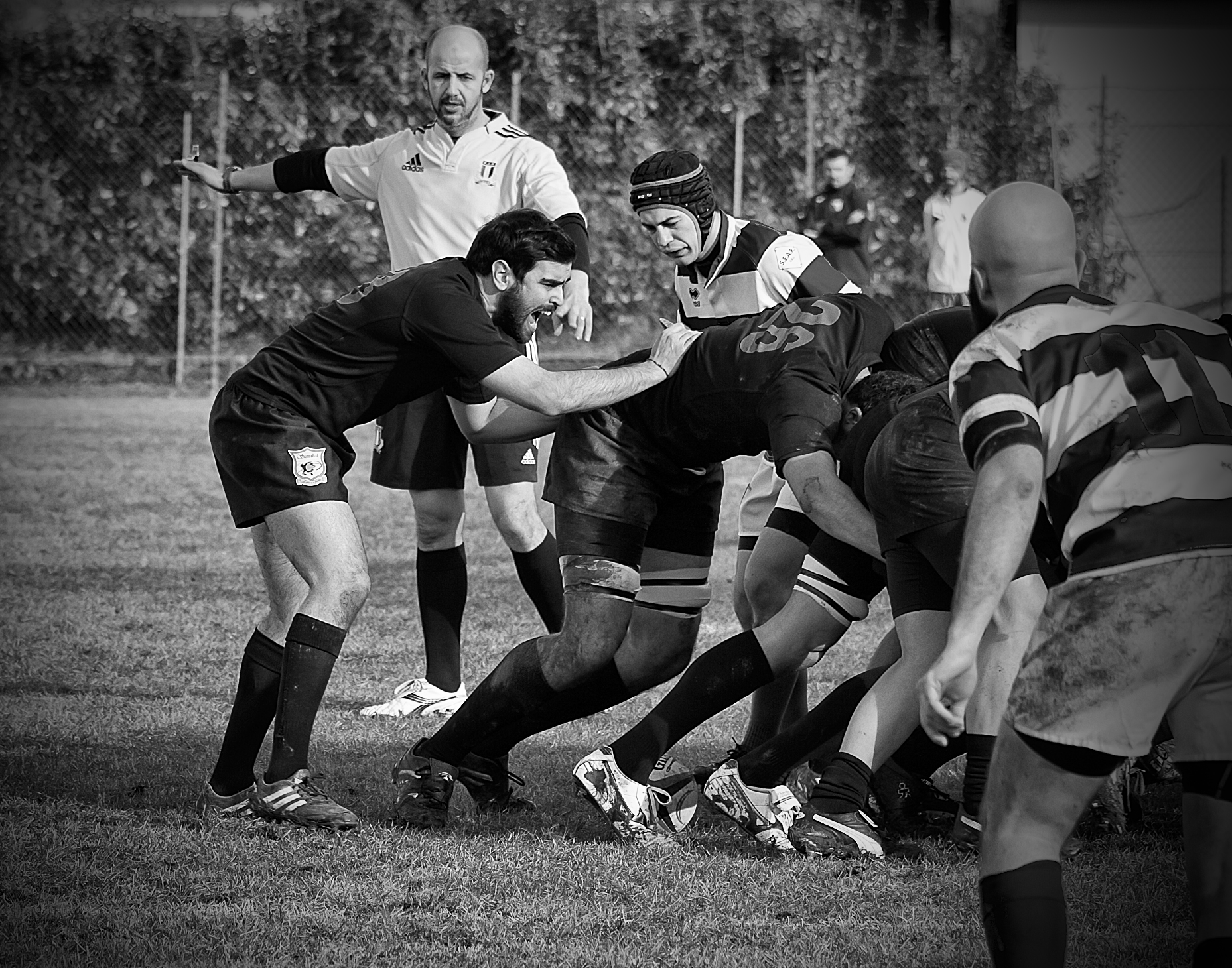 Rugby