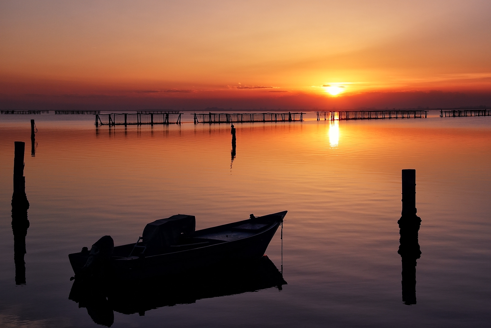 Sacca of Scardovari (ro).