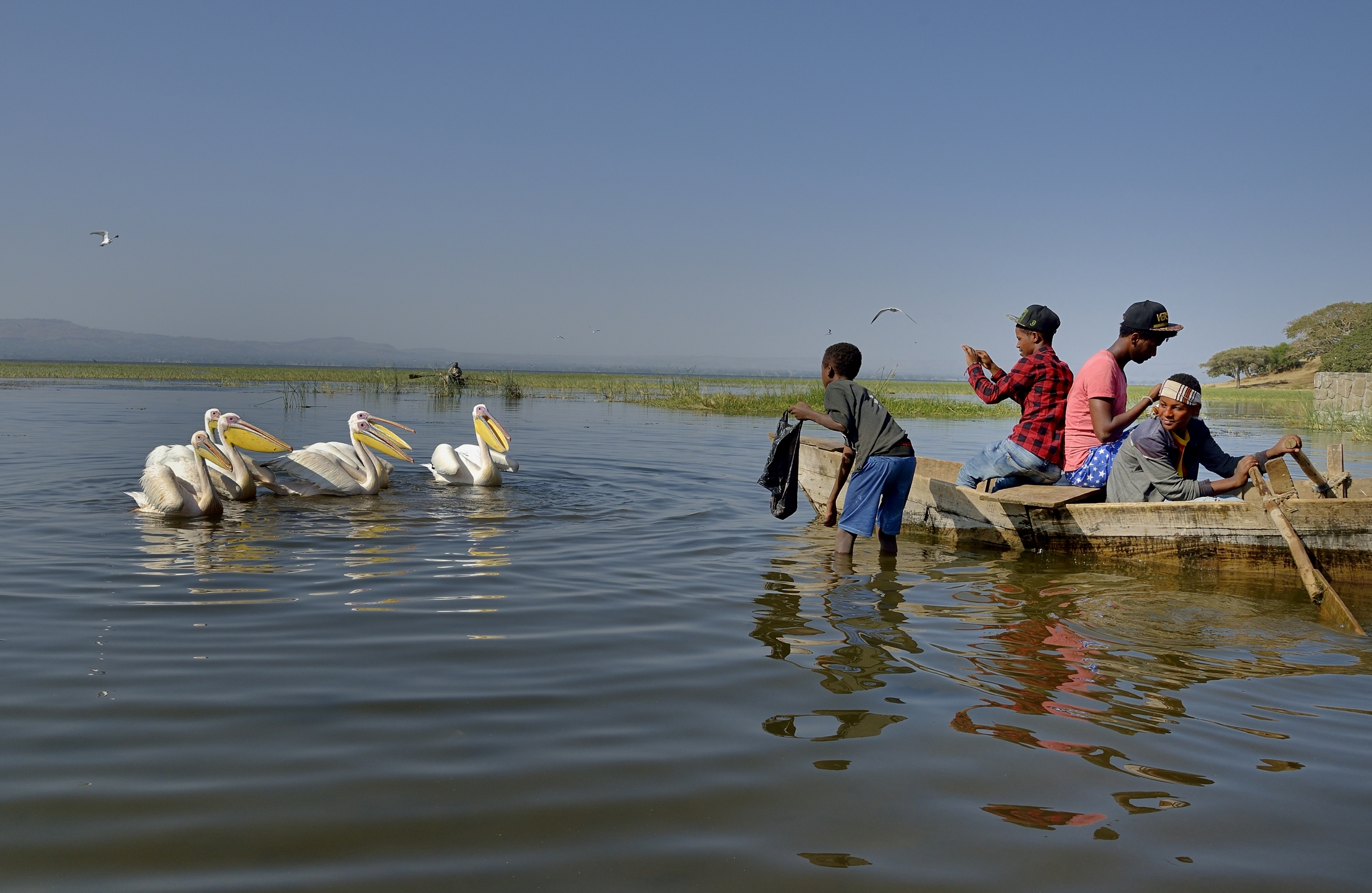 Etiopia 2015 - Sul Lago Hawassa