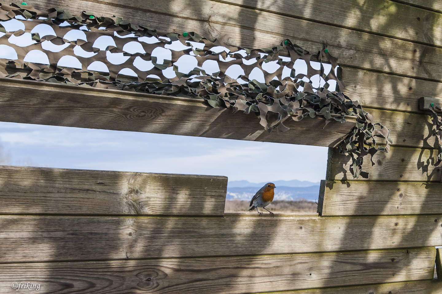 And now I will watch !!!!!