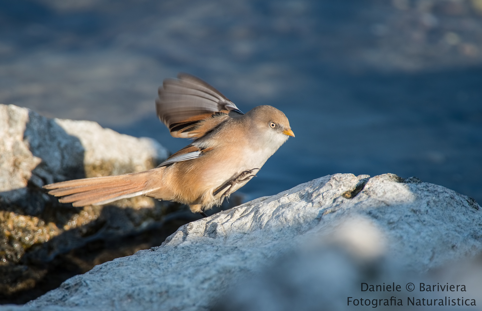 Equilibrio precario !