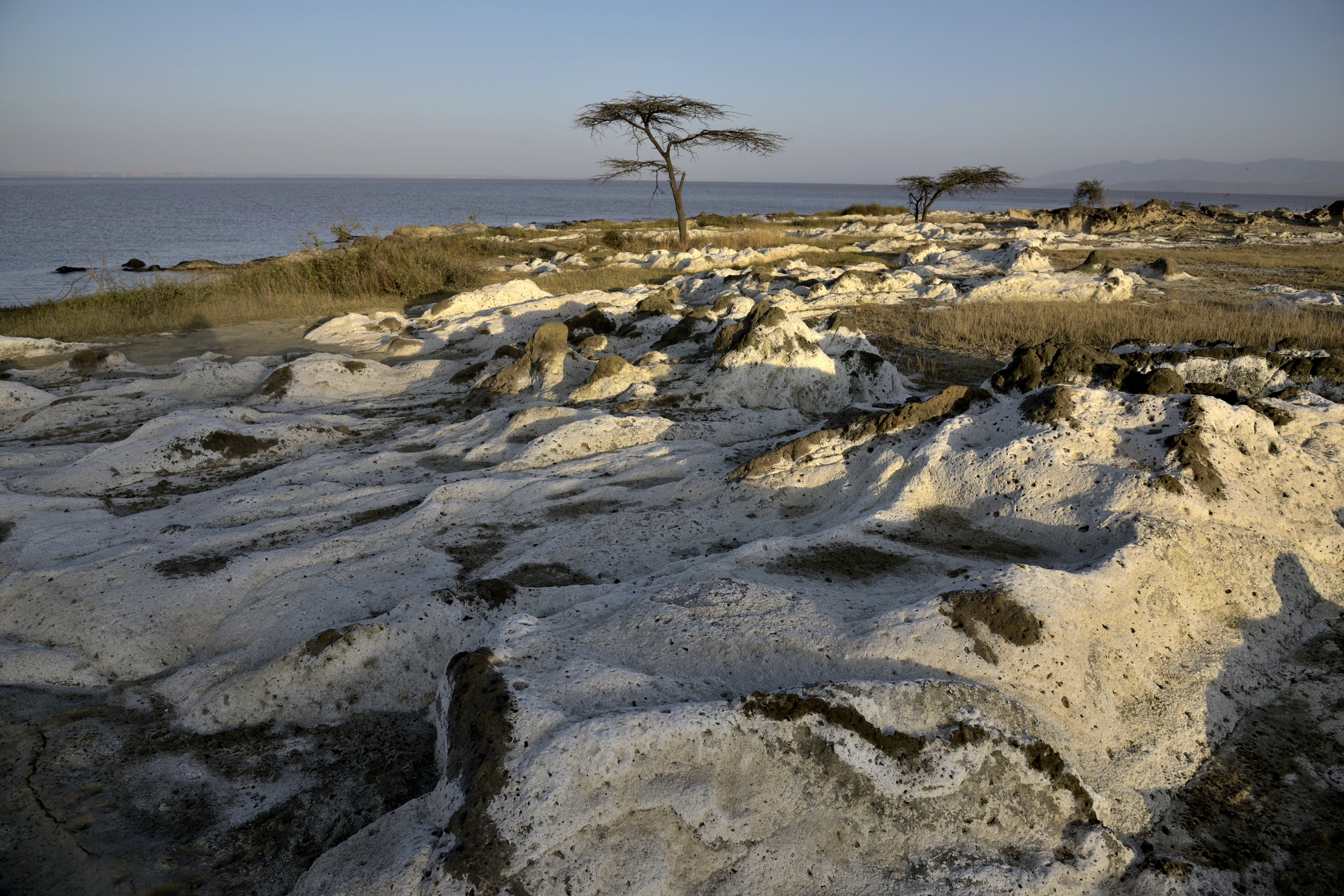 Etiopia 2015 - Lago Langano