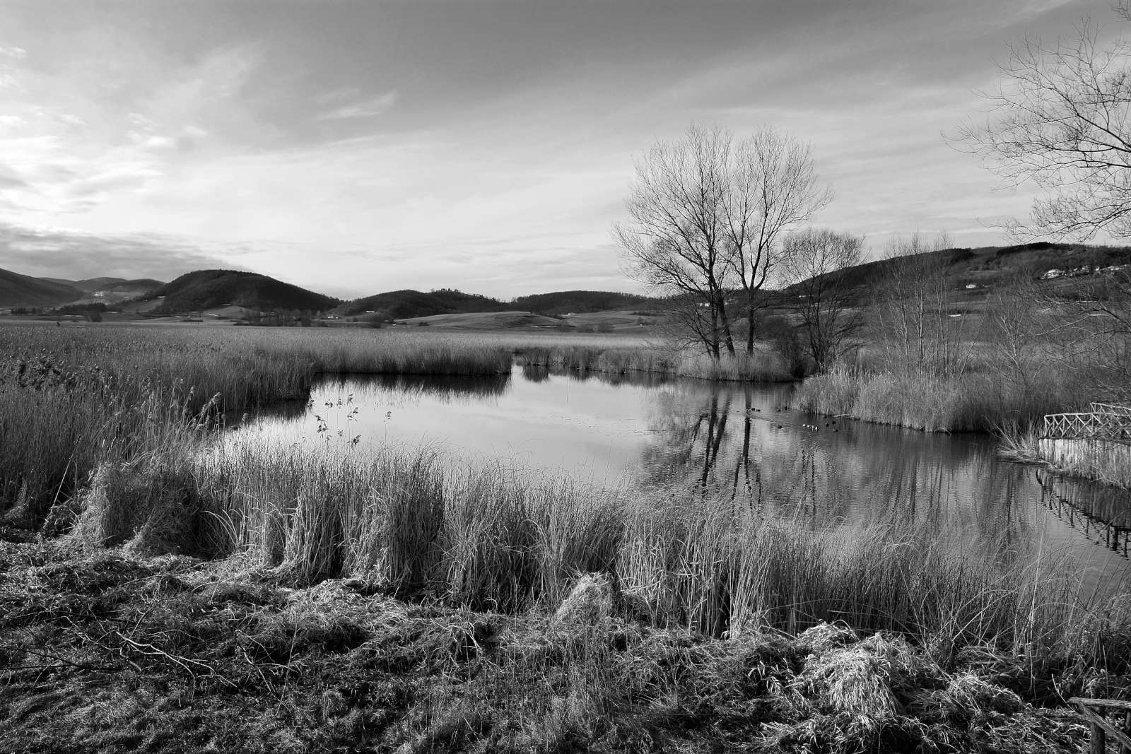 Parco naturale di Colfiorito