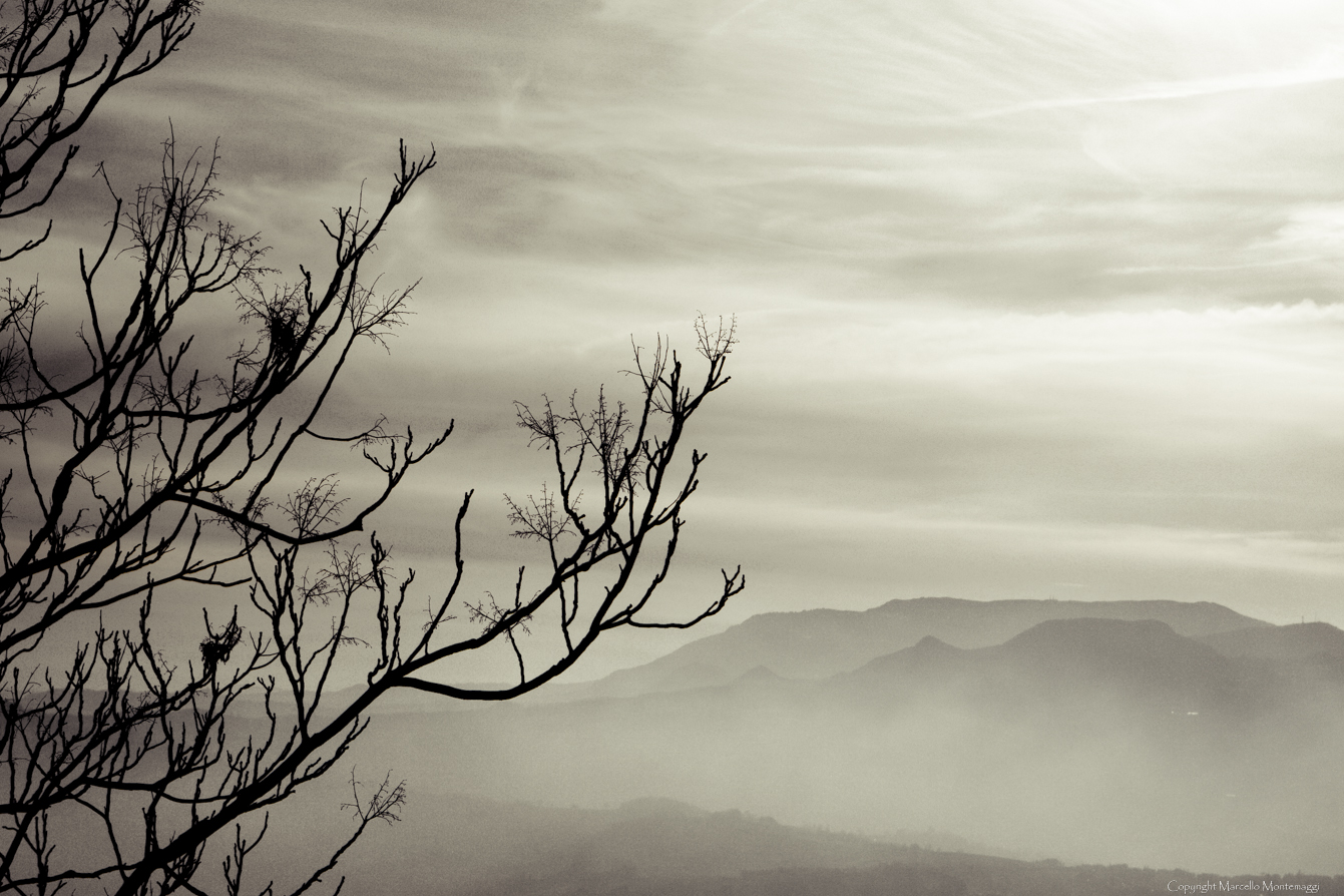 looking at the horizon