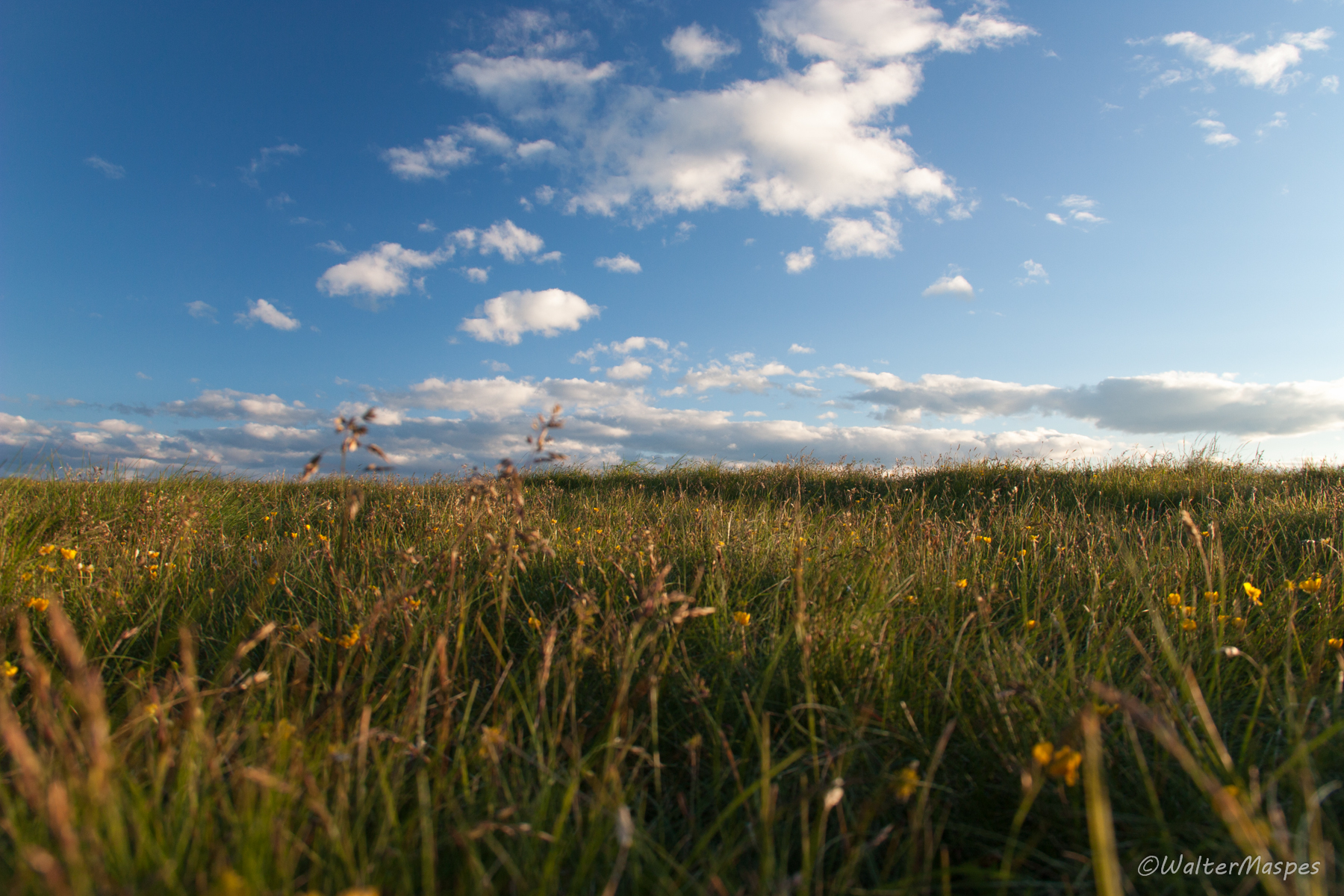 High mountain of Nago