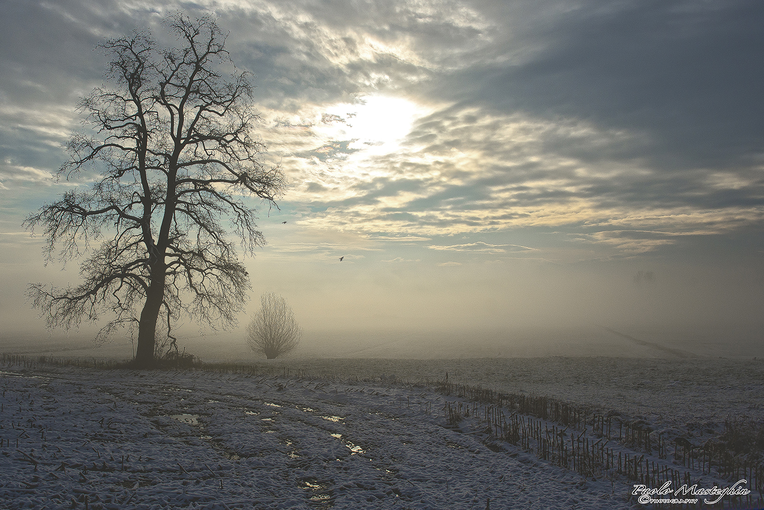The new day after the storm ...