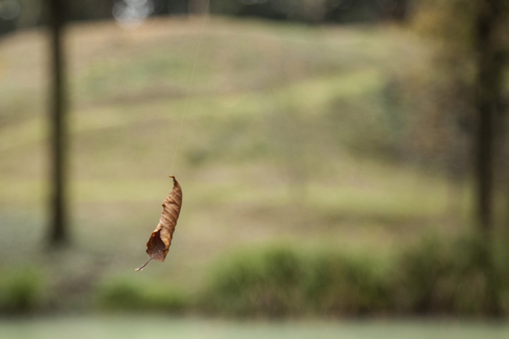 Unstable equilibrium